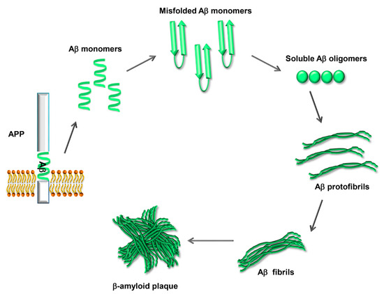 Biology 09 00425 g002 550