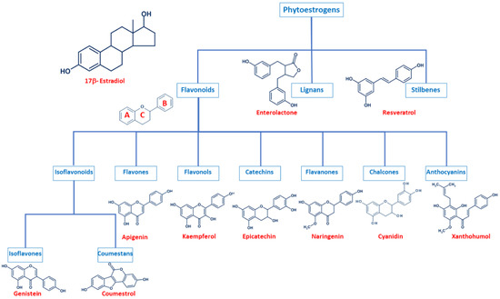 Phytoestrogen  Encyclopedia MDPI