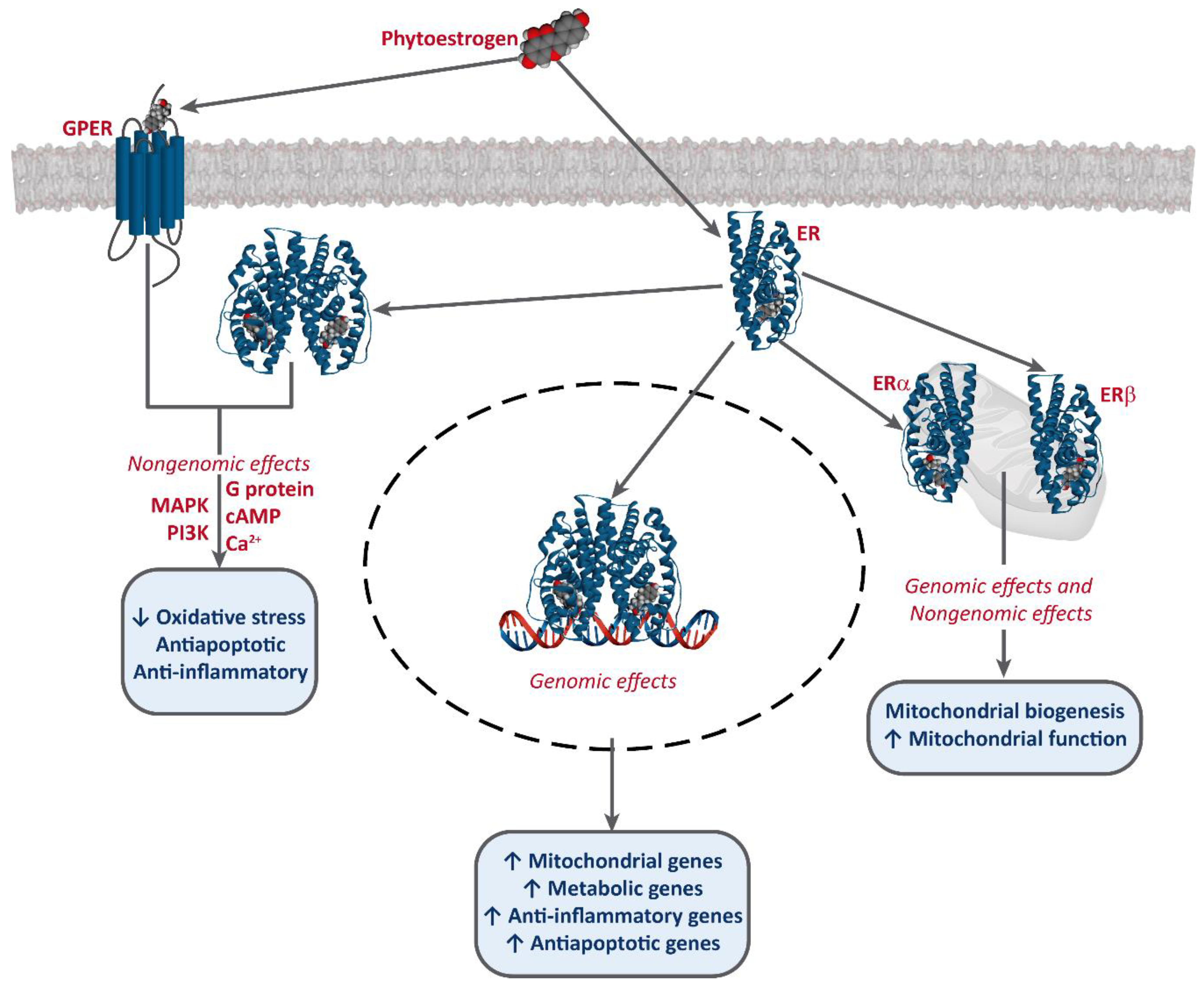 Biology 09 00427 g002