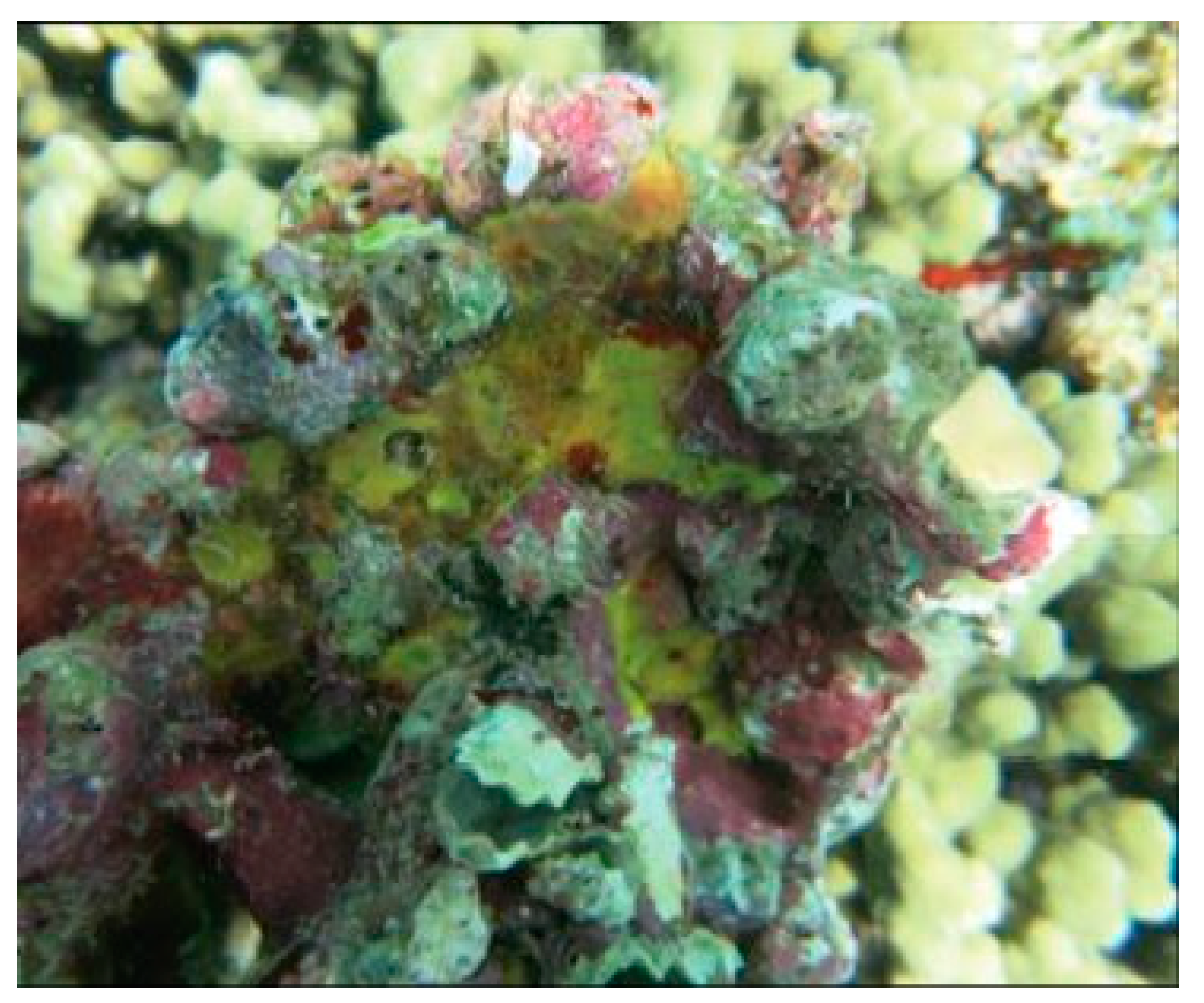 Biology 09 00429 g002 Biology 09 00429 g002