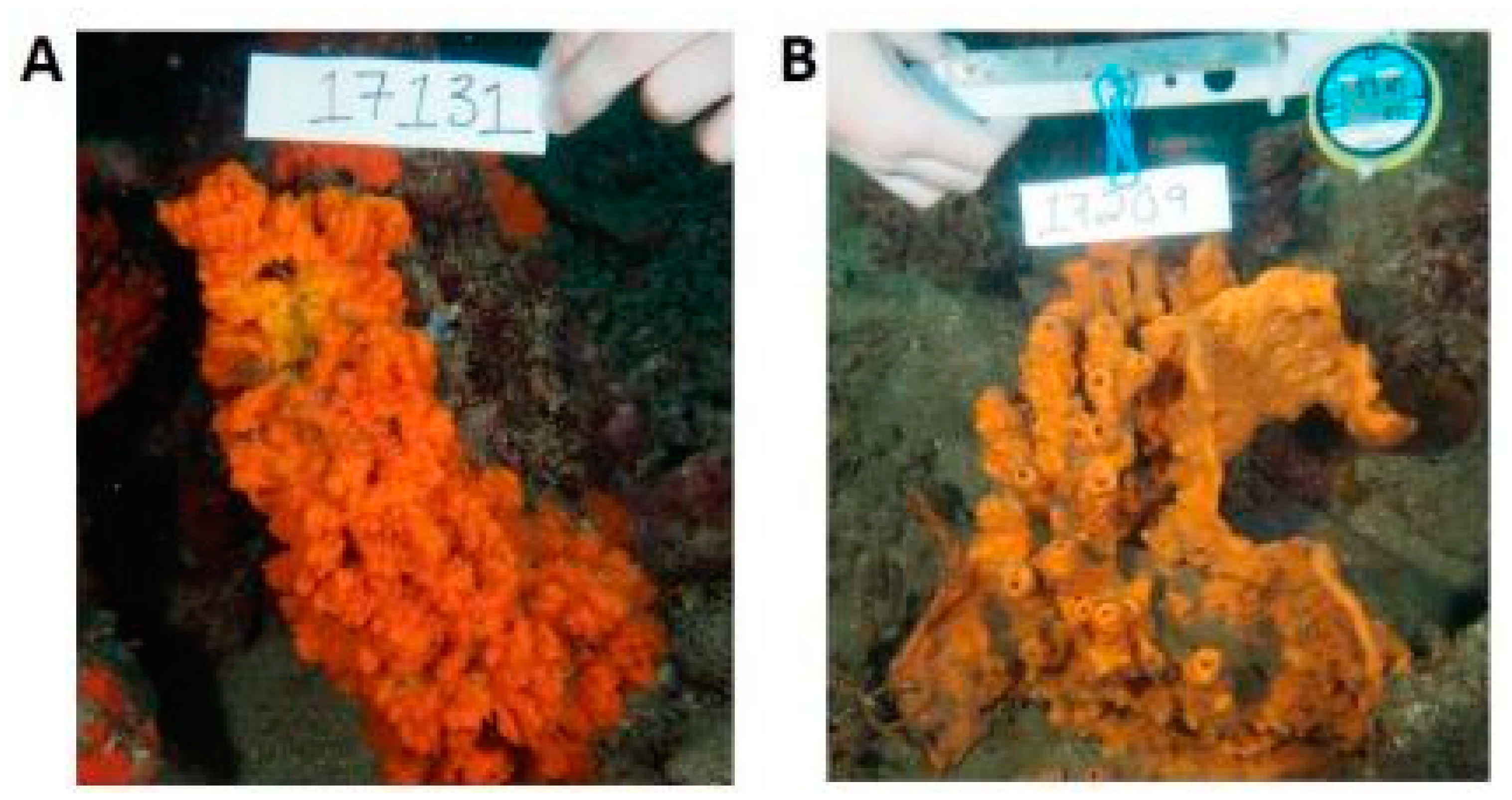 Biology 09 00429 g004 Biology 09 00429 g004