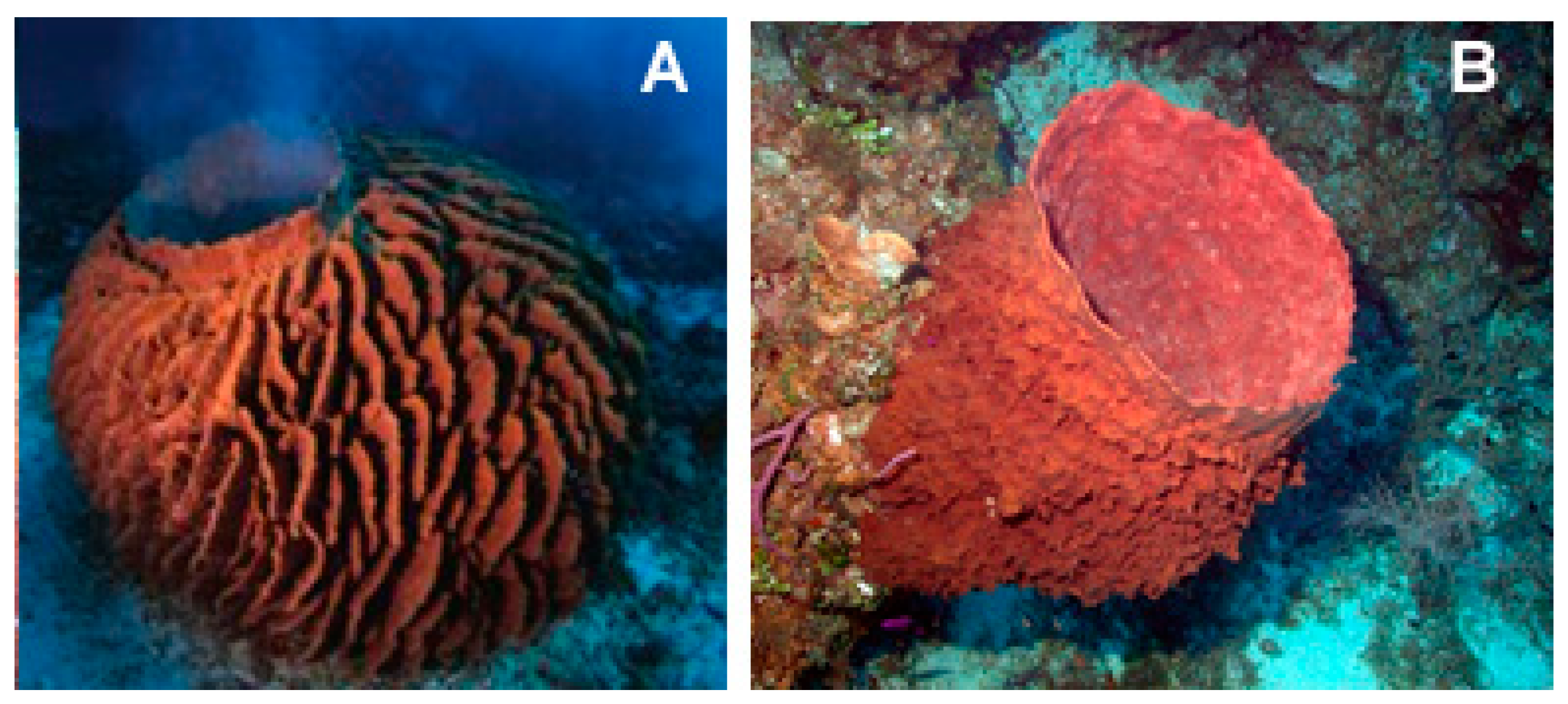 Biology 09 00429 g015 Biology 09 00429 g015