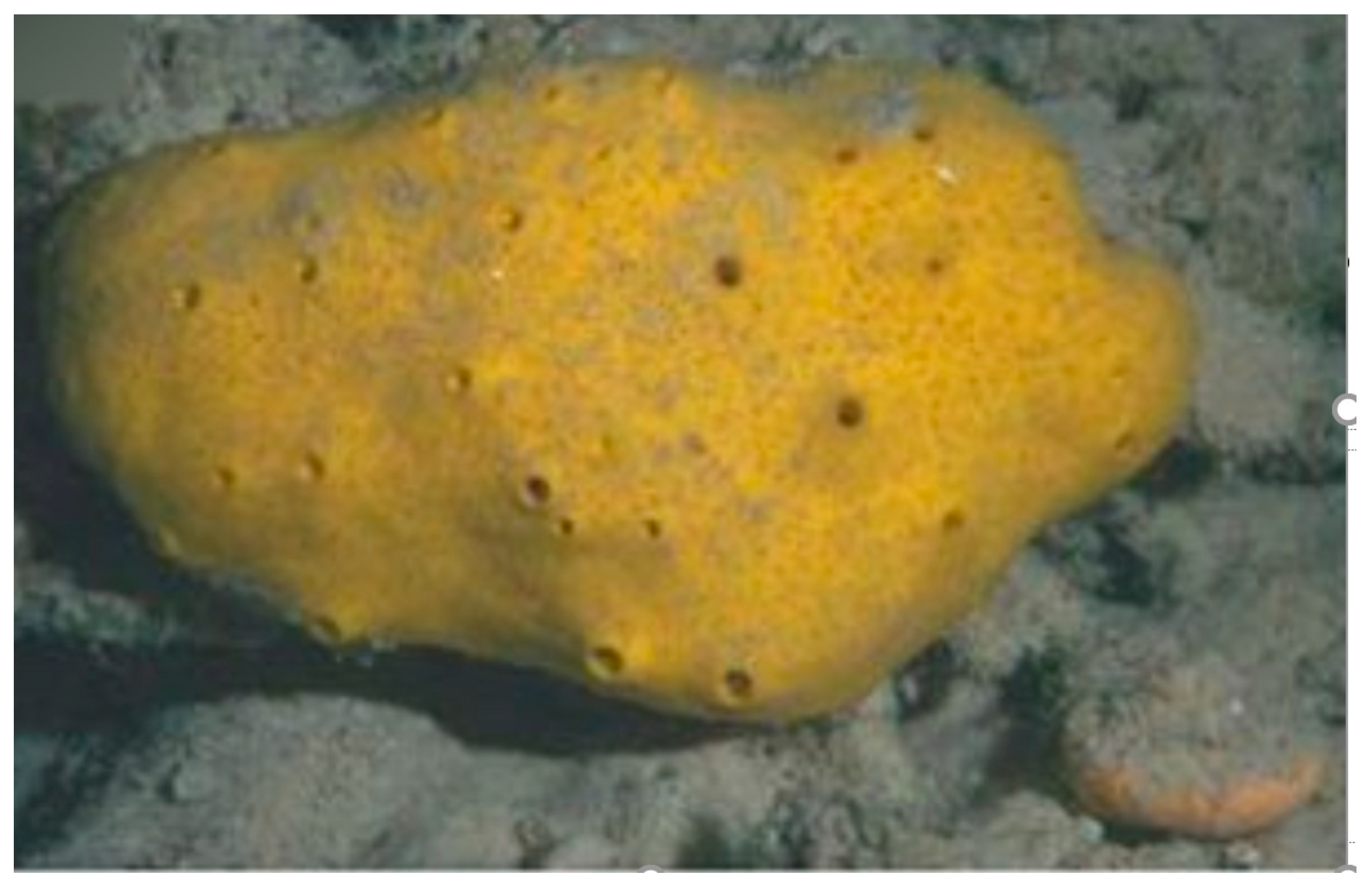 Biology 09 00429 g016 Biology 09 00429 g016