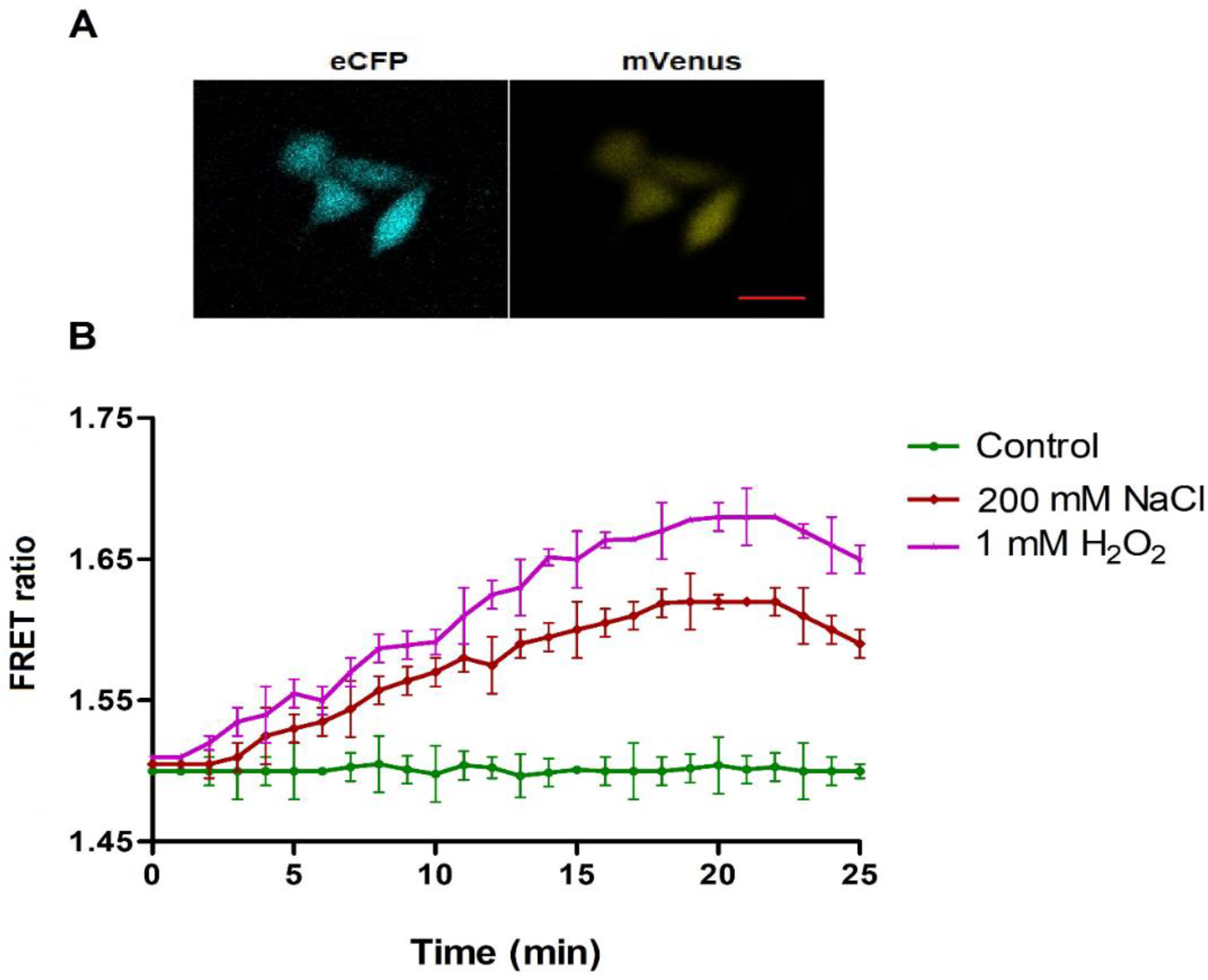 Biology 09 00430 g006 Biology 09 00430 g006