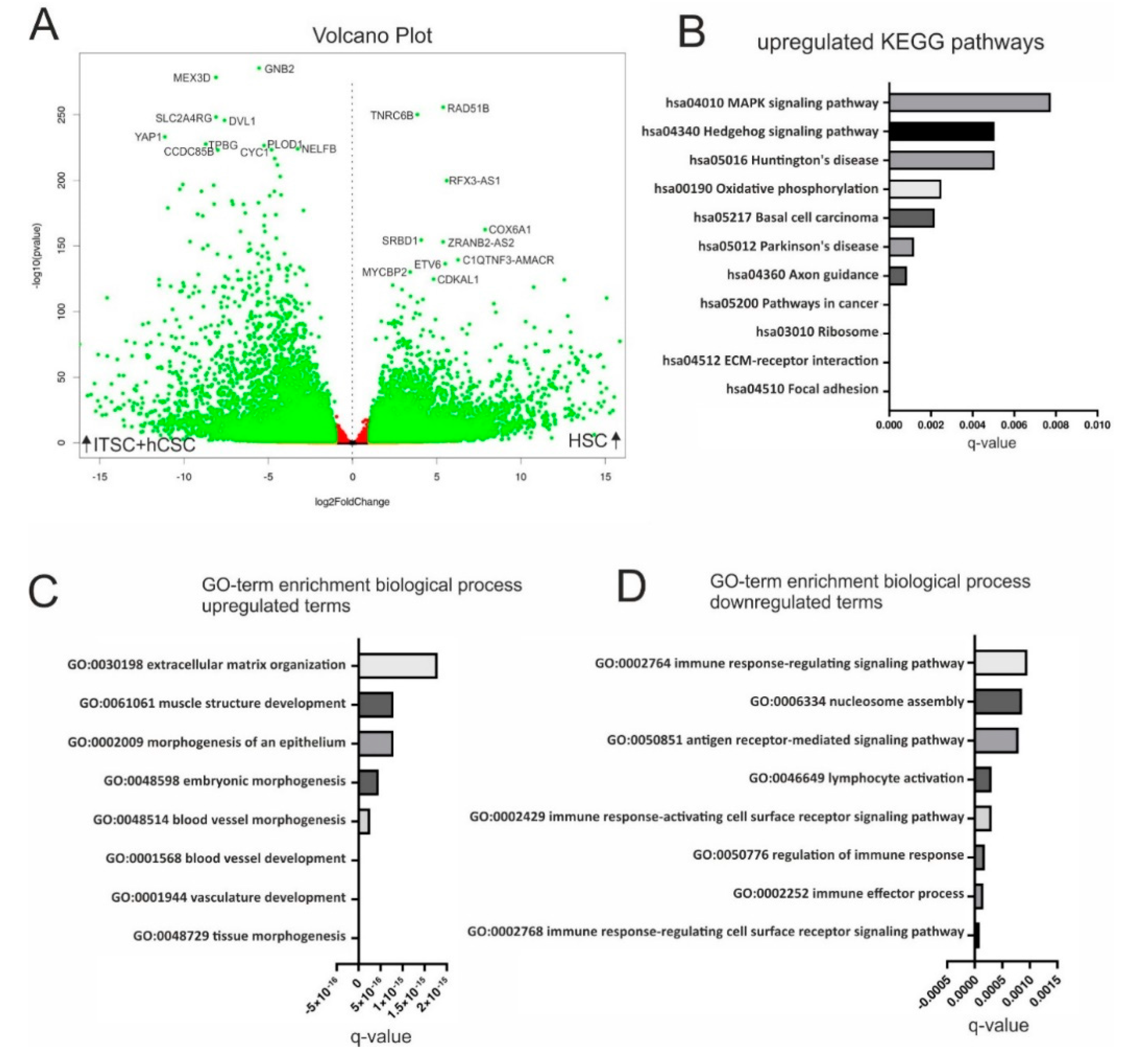 Biology 09 00435 g005 Biology 09 00435 g005