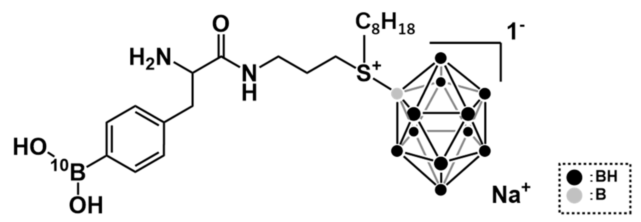Biology 09 00437 g001 Biology 09 00437 g001