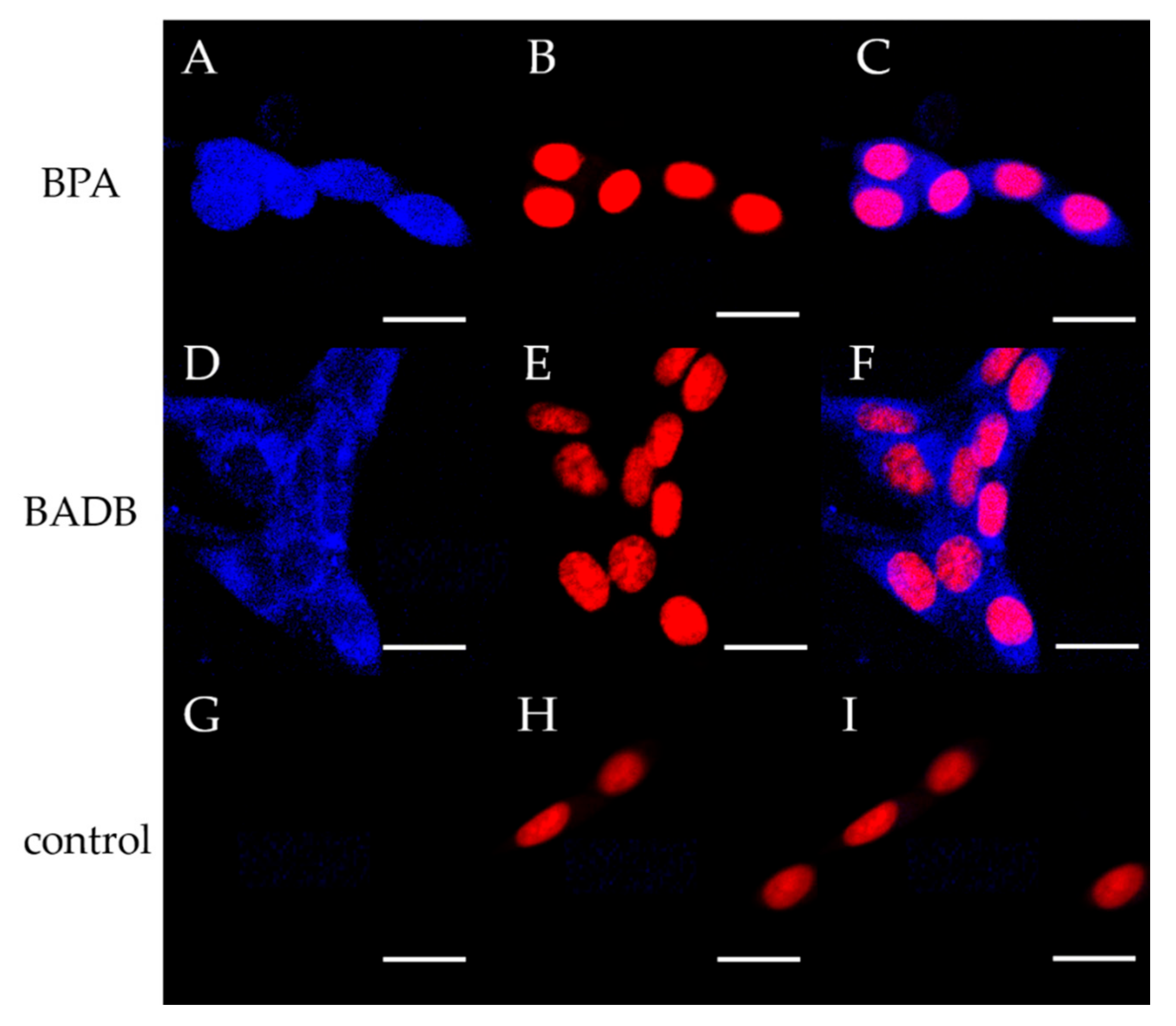 Biology 09 00437 g003 Biology 09 00437 g003