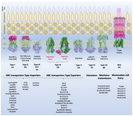 Biology 09 00443 g001 550