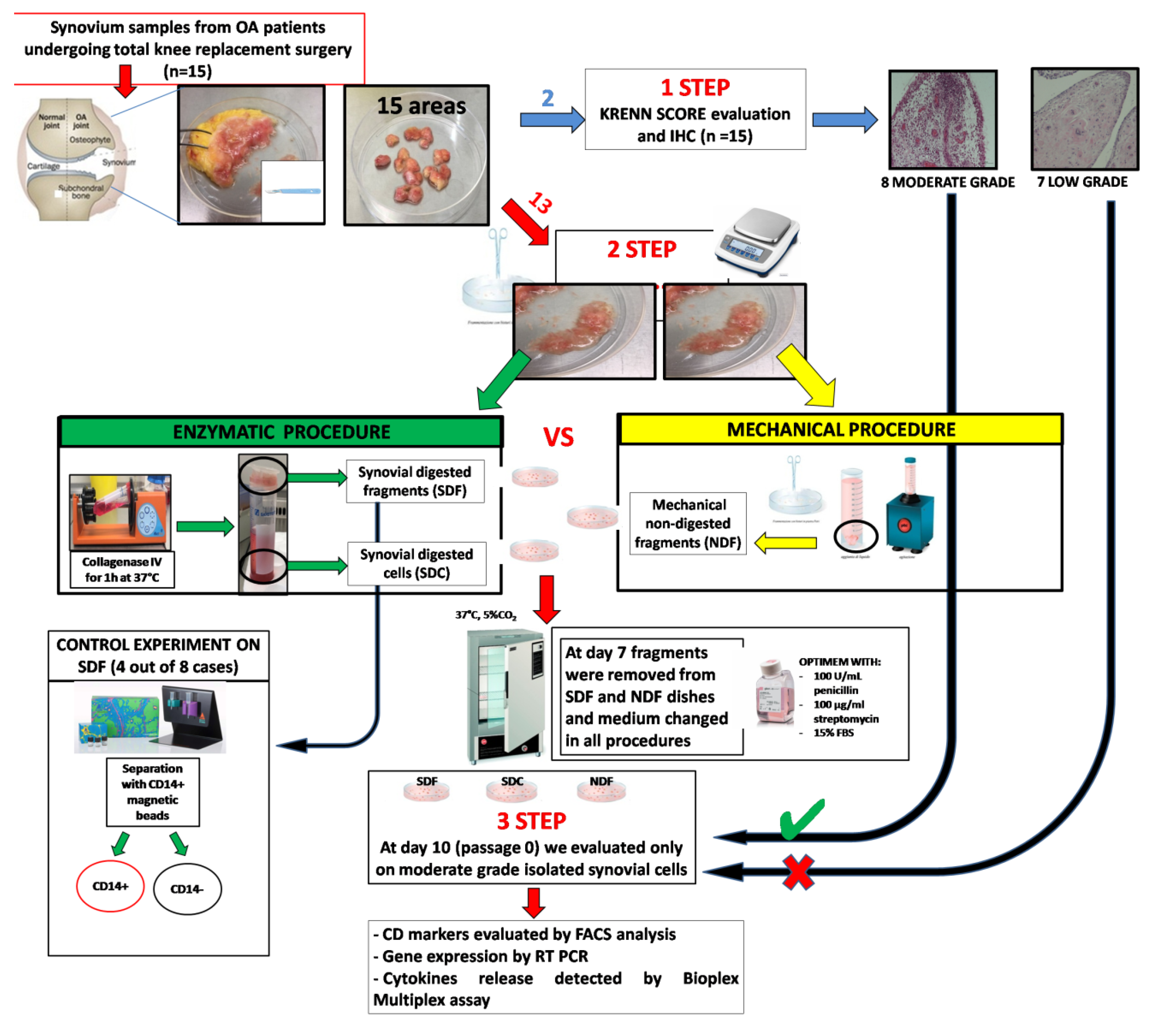 Biology 09 00459 g001 Biology 09 00459 g001