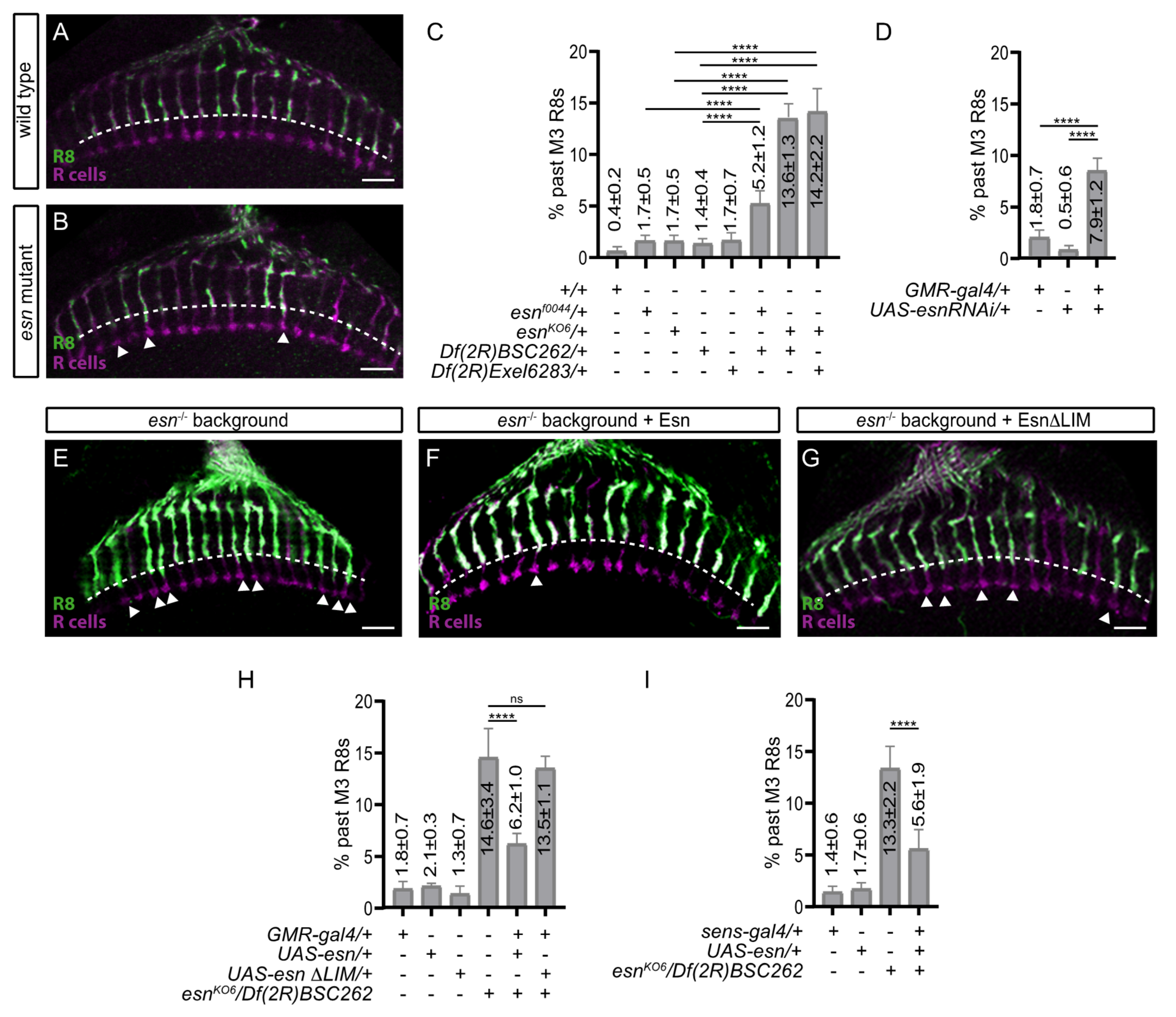 Biology 09 00466 g002 Biology 09 00466 g002