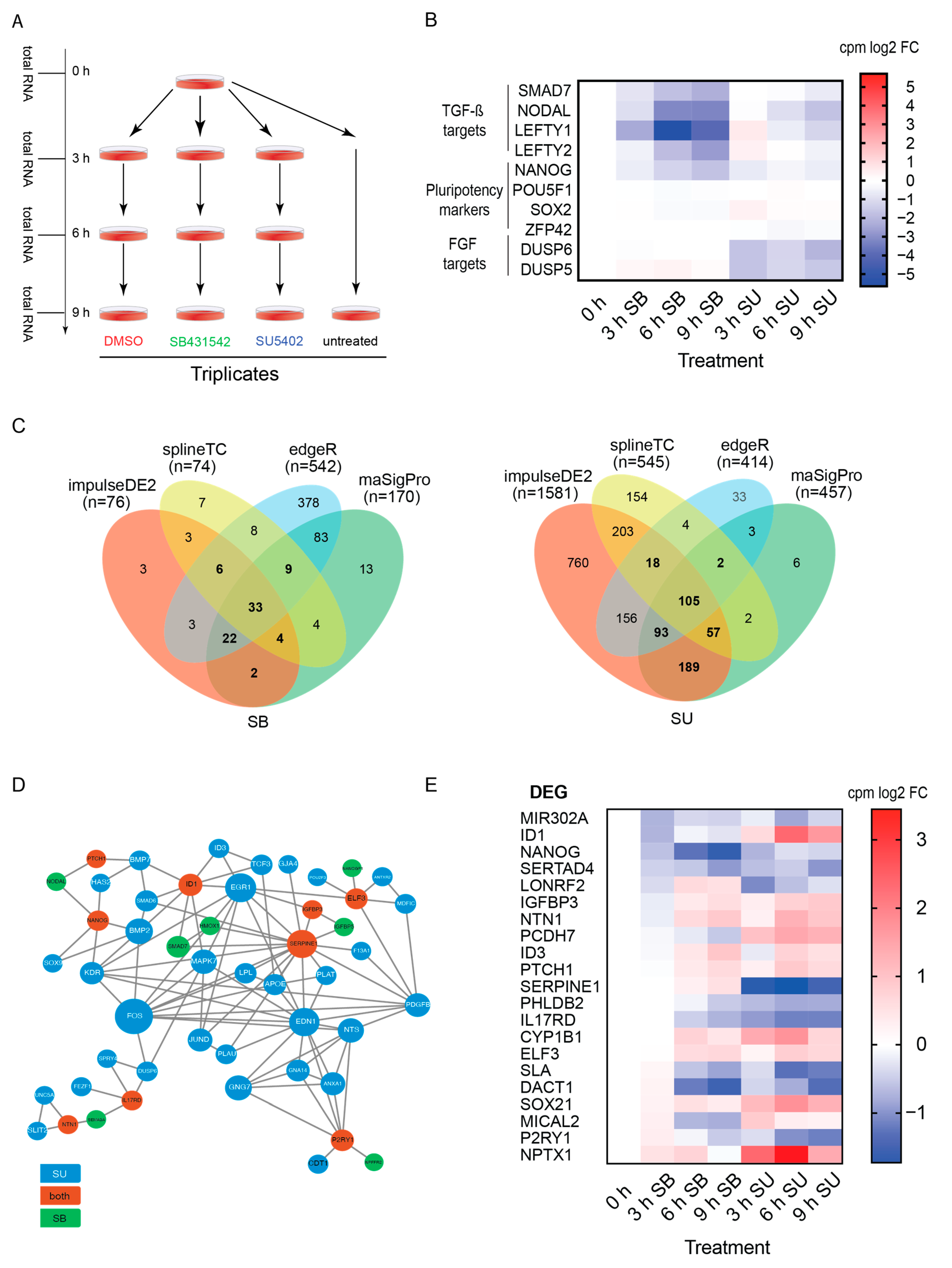 Biology 09 00470 g001