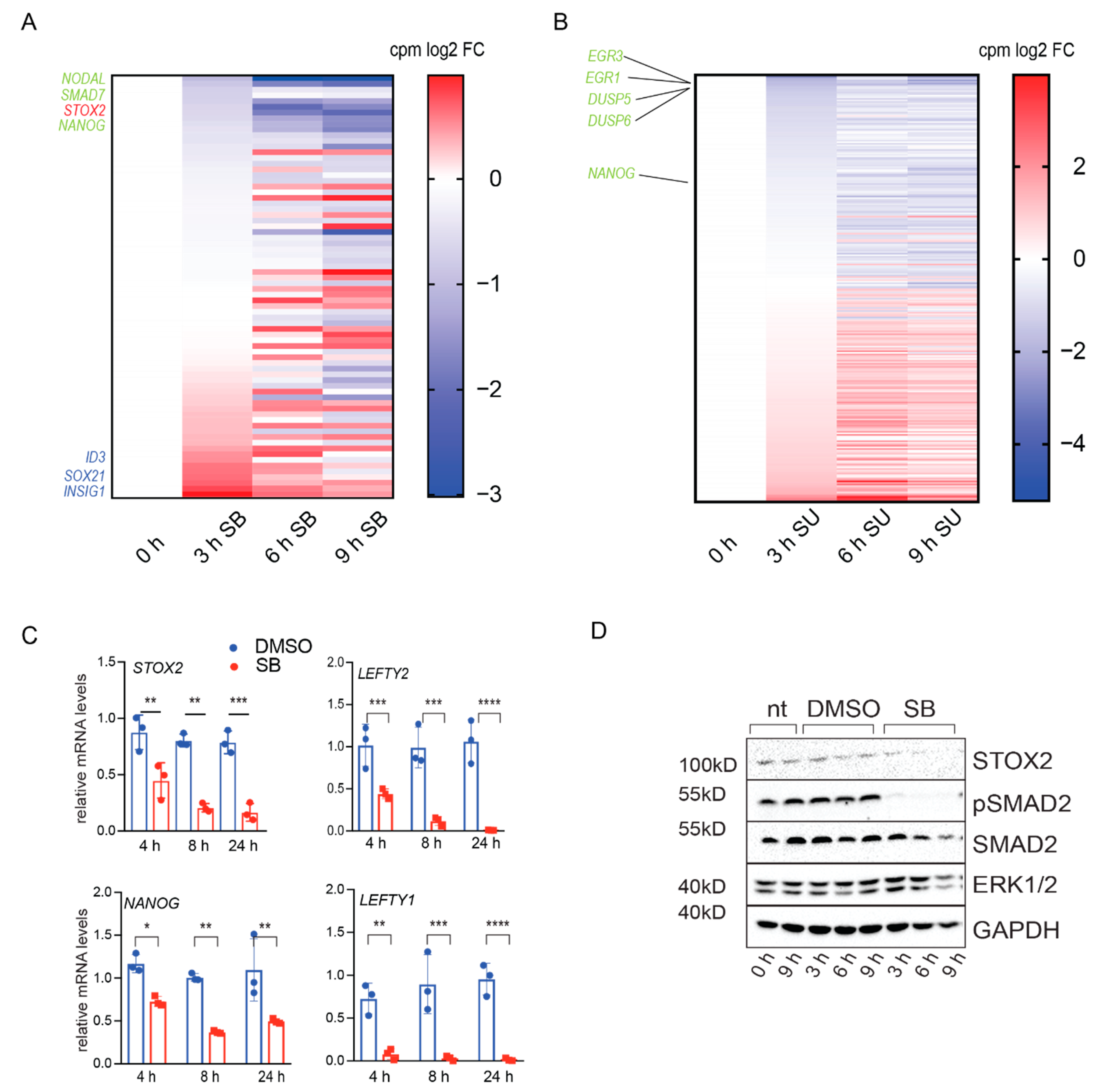 Biology 09 00470 g002