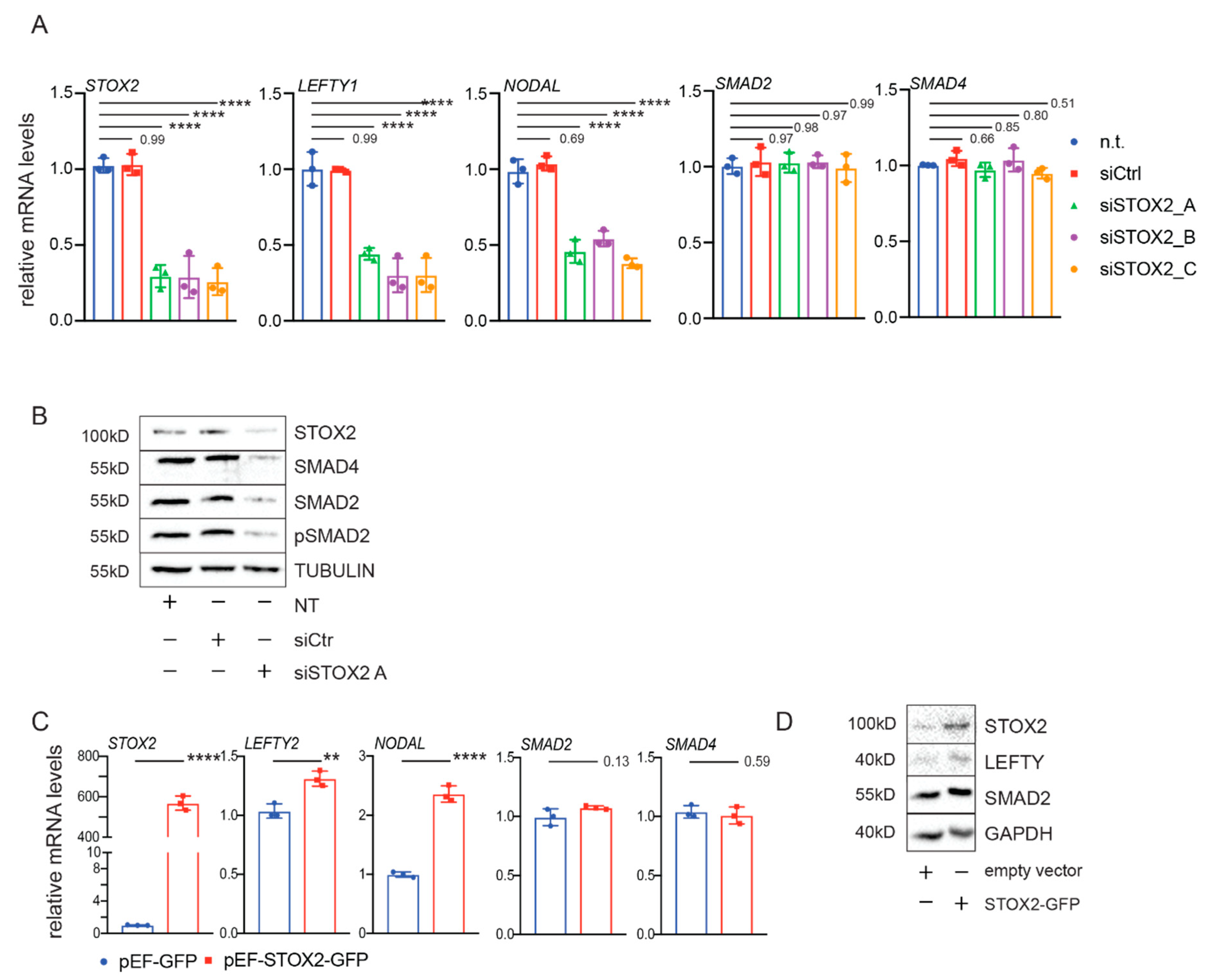 Biology 09 00470 g004