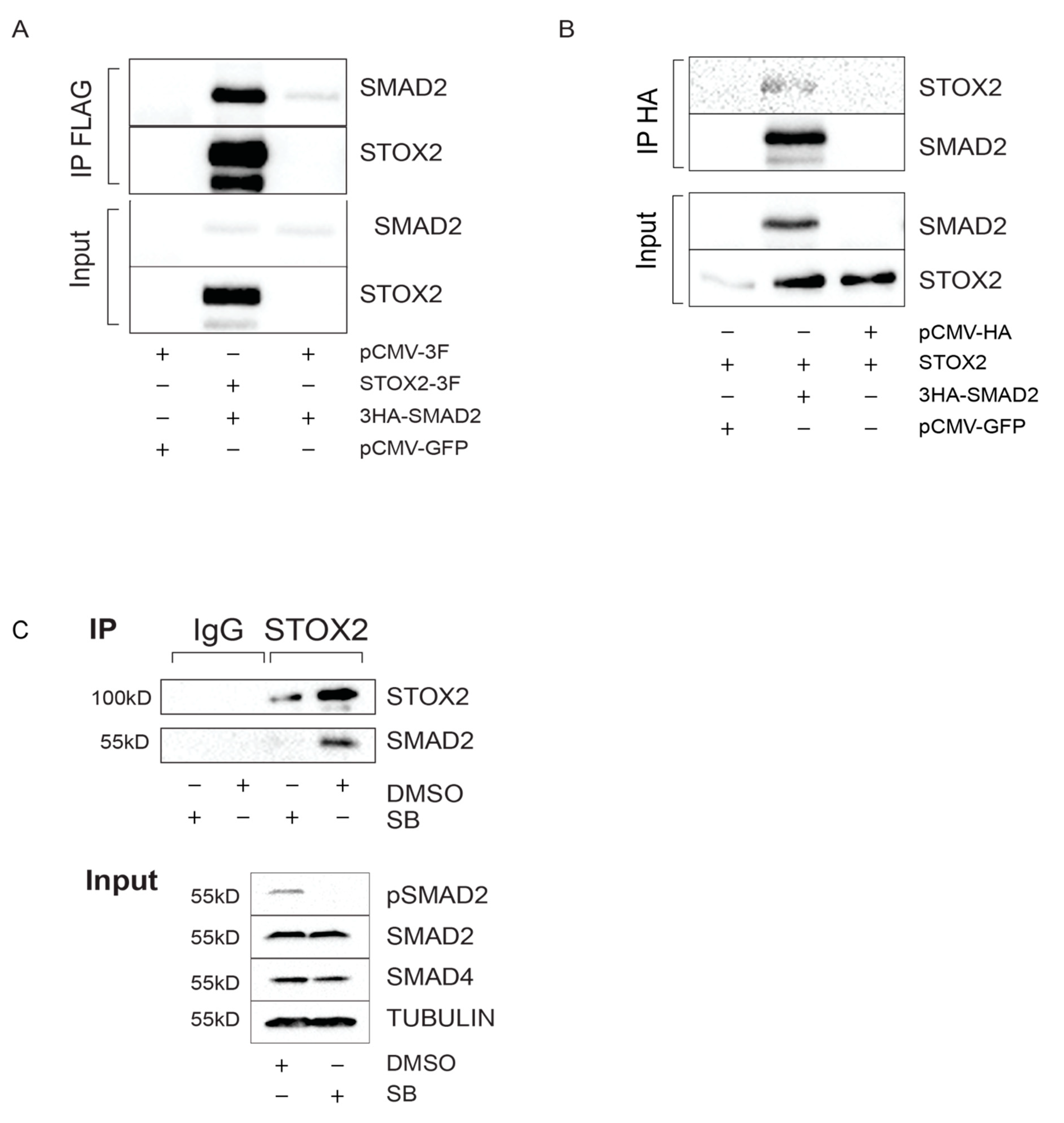 Biology 09 00470 g005