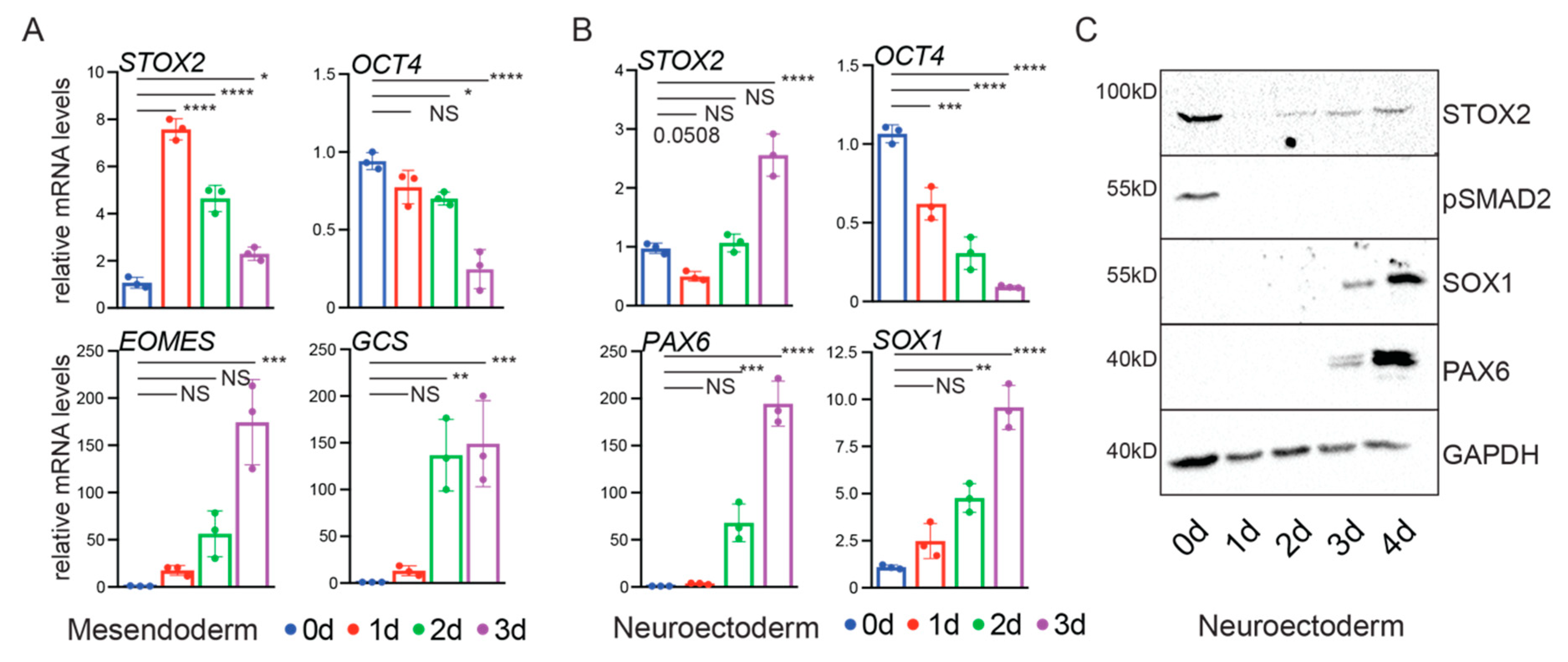 Biology 09 00470 g006