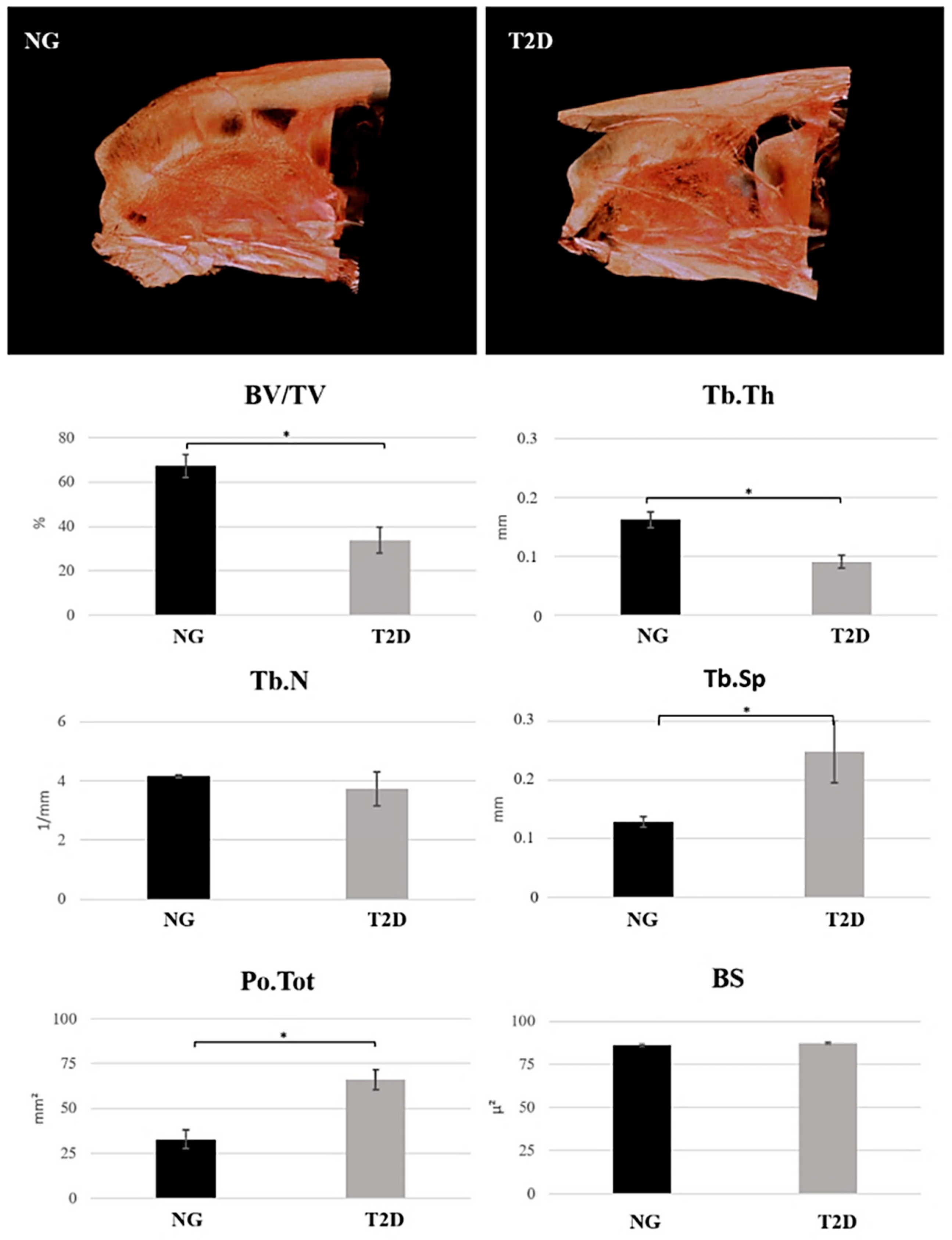 Biology 09 00471 g003