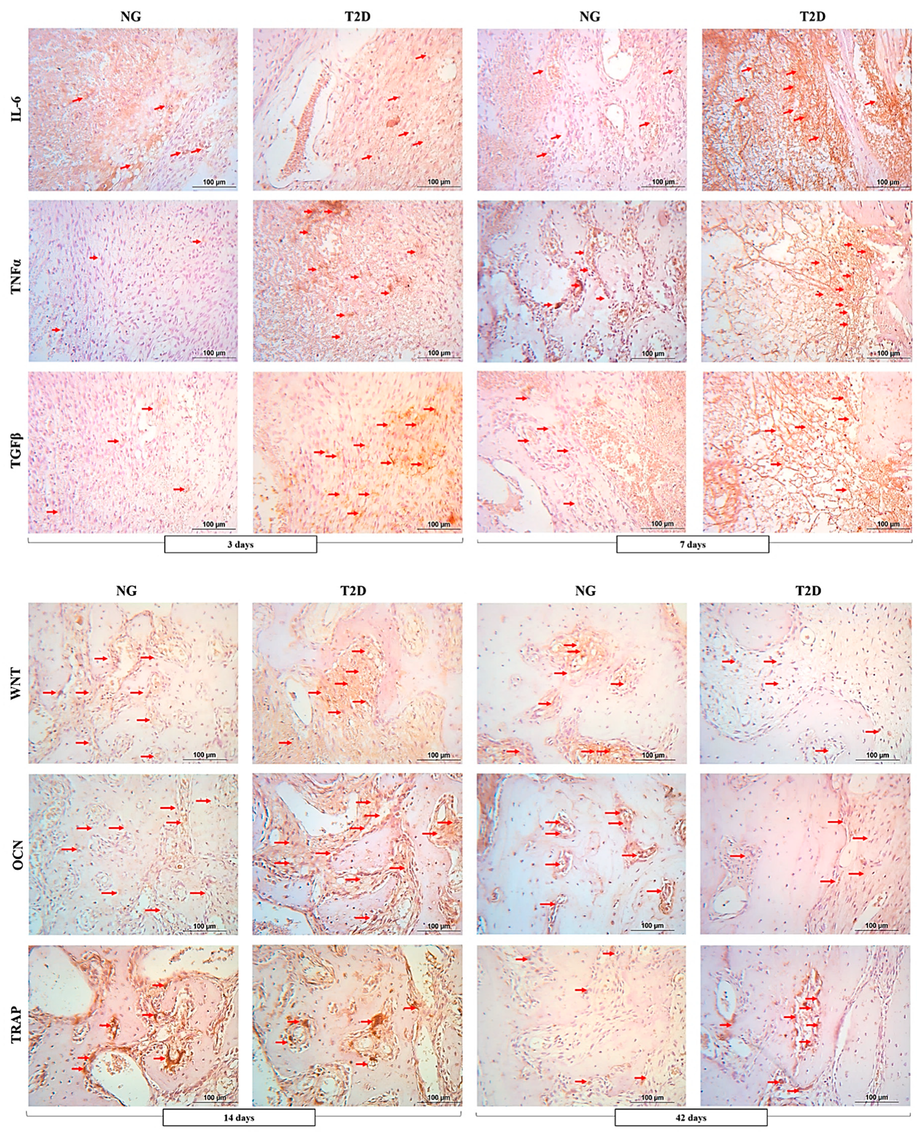 Biology 09 00471 g004