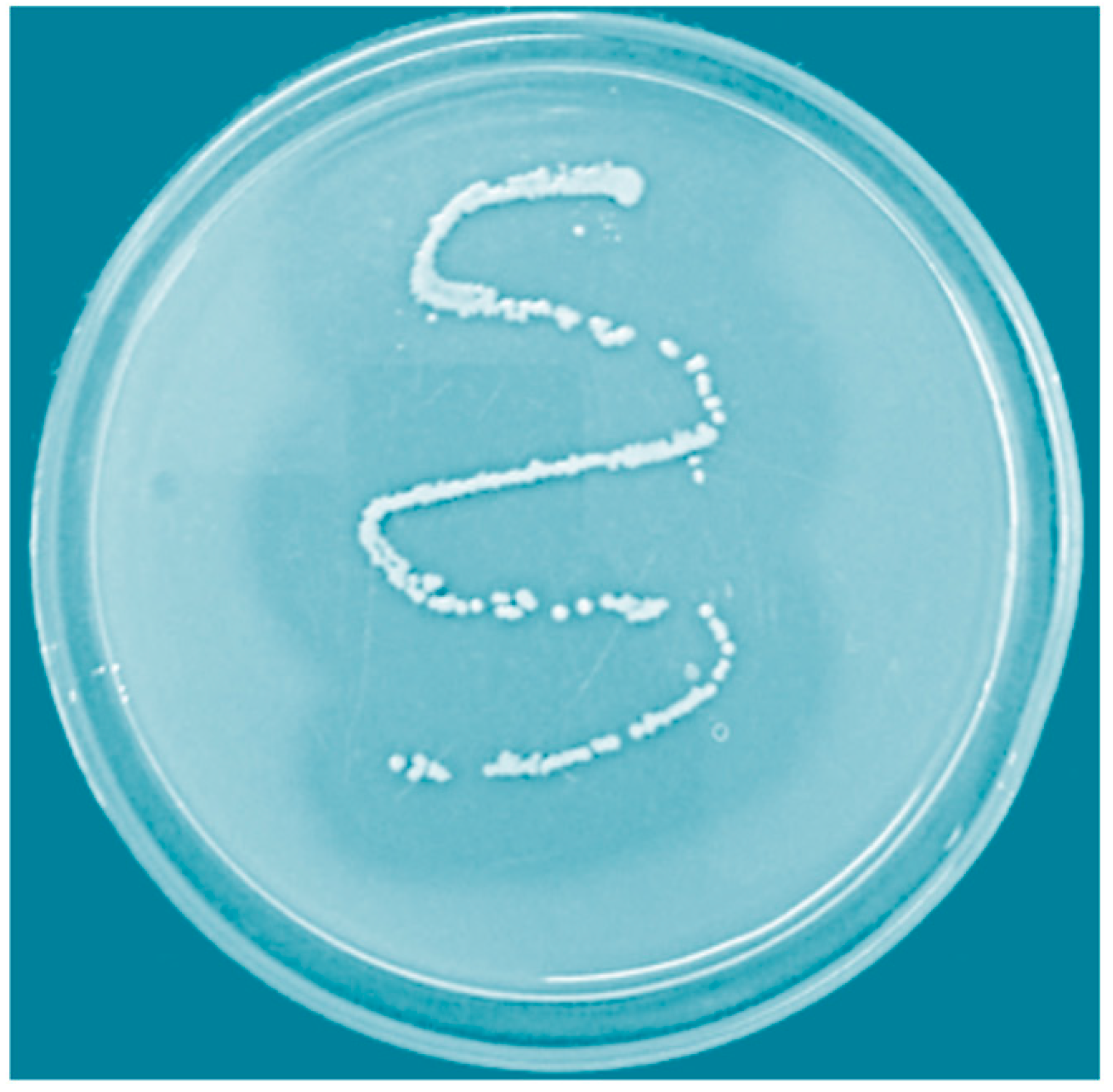 Biology 09 00472 g001 Biology 09 00472 g001