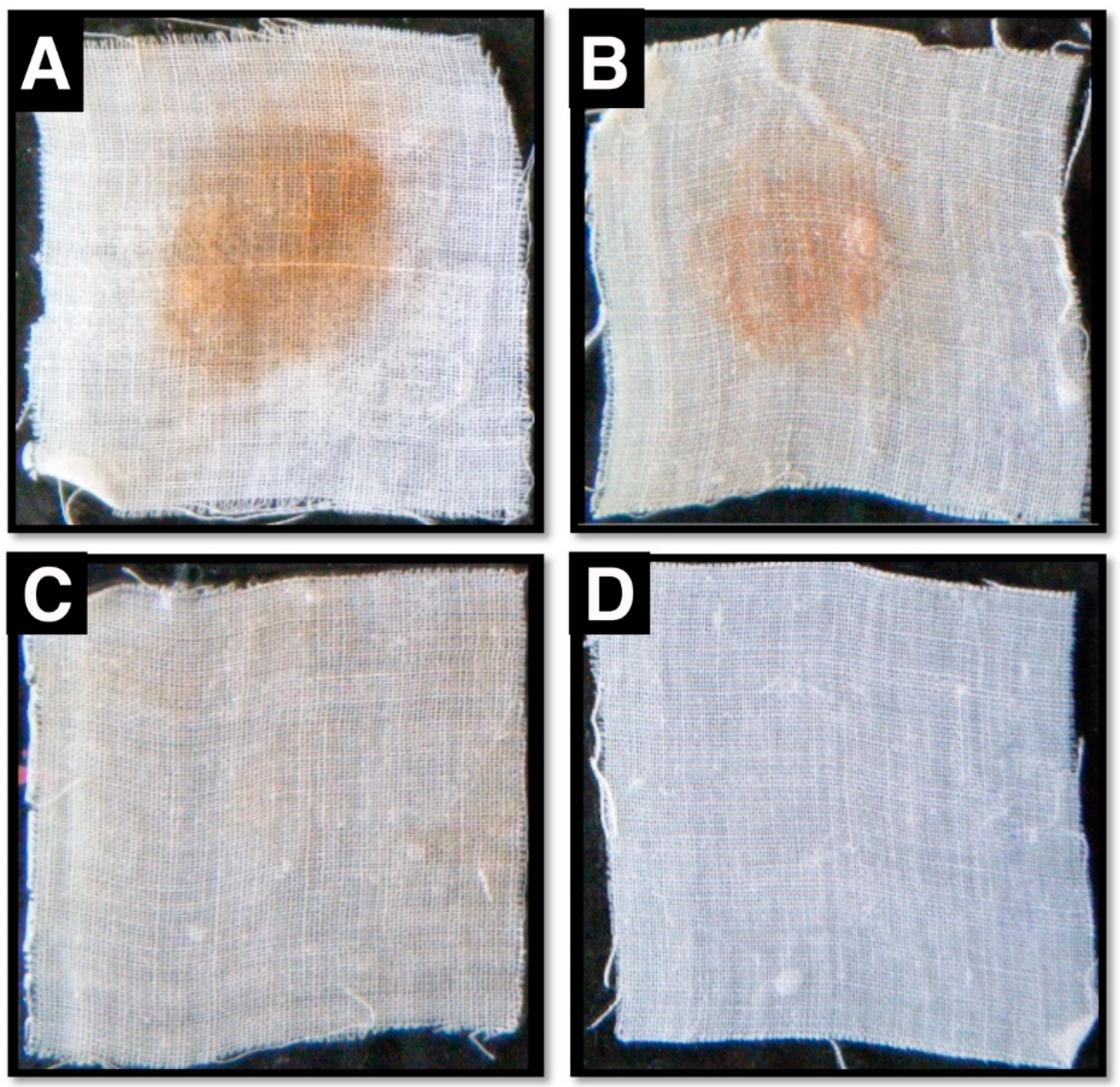 Biology 09 00472 g004 Biology 09 00472 g004