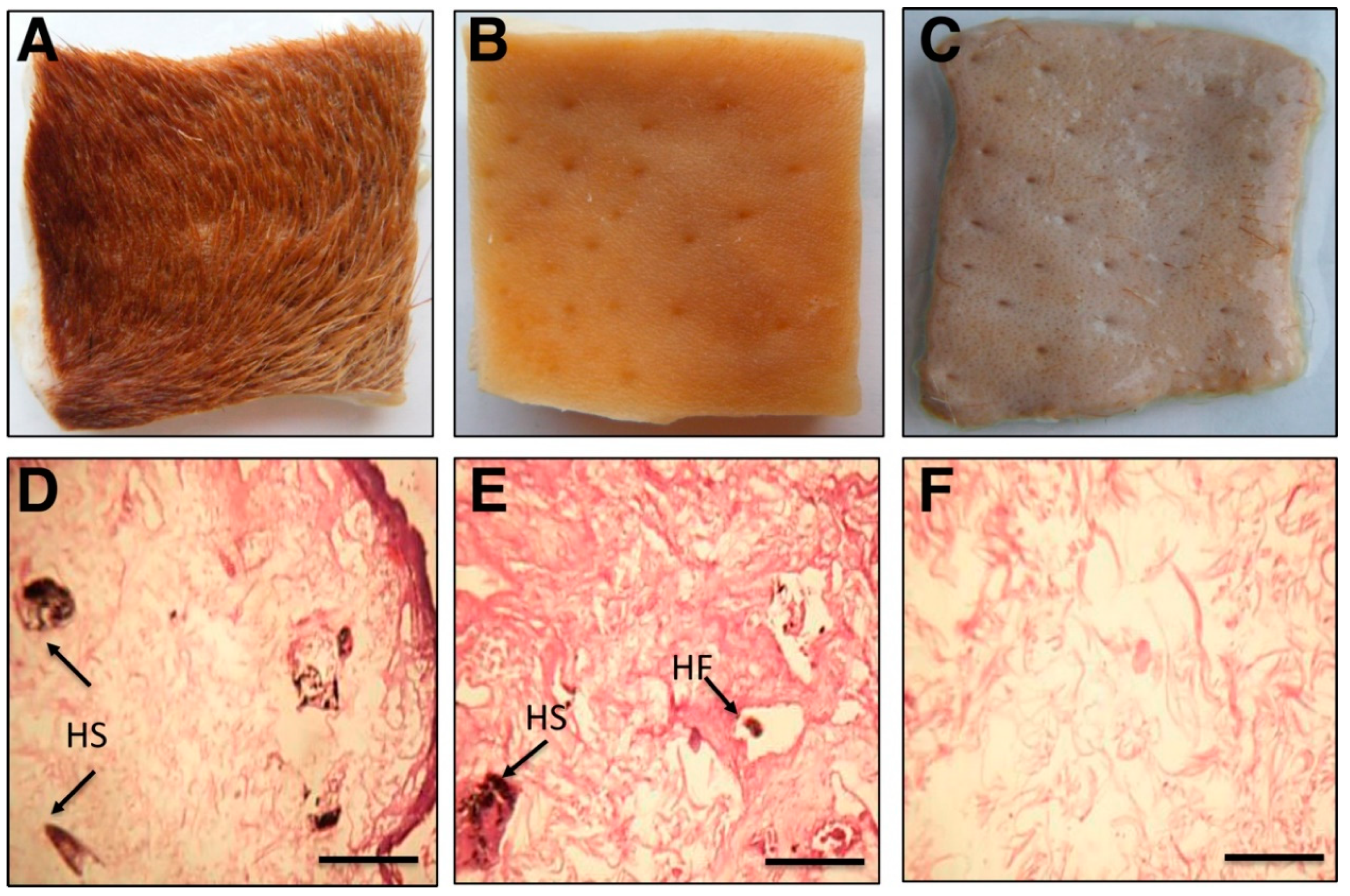 Biology 09 00472 g005 Biology 09 00472 g005
