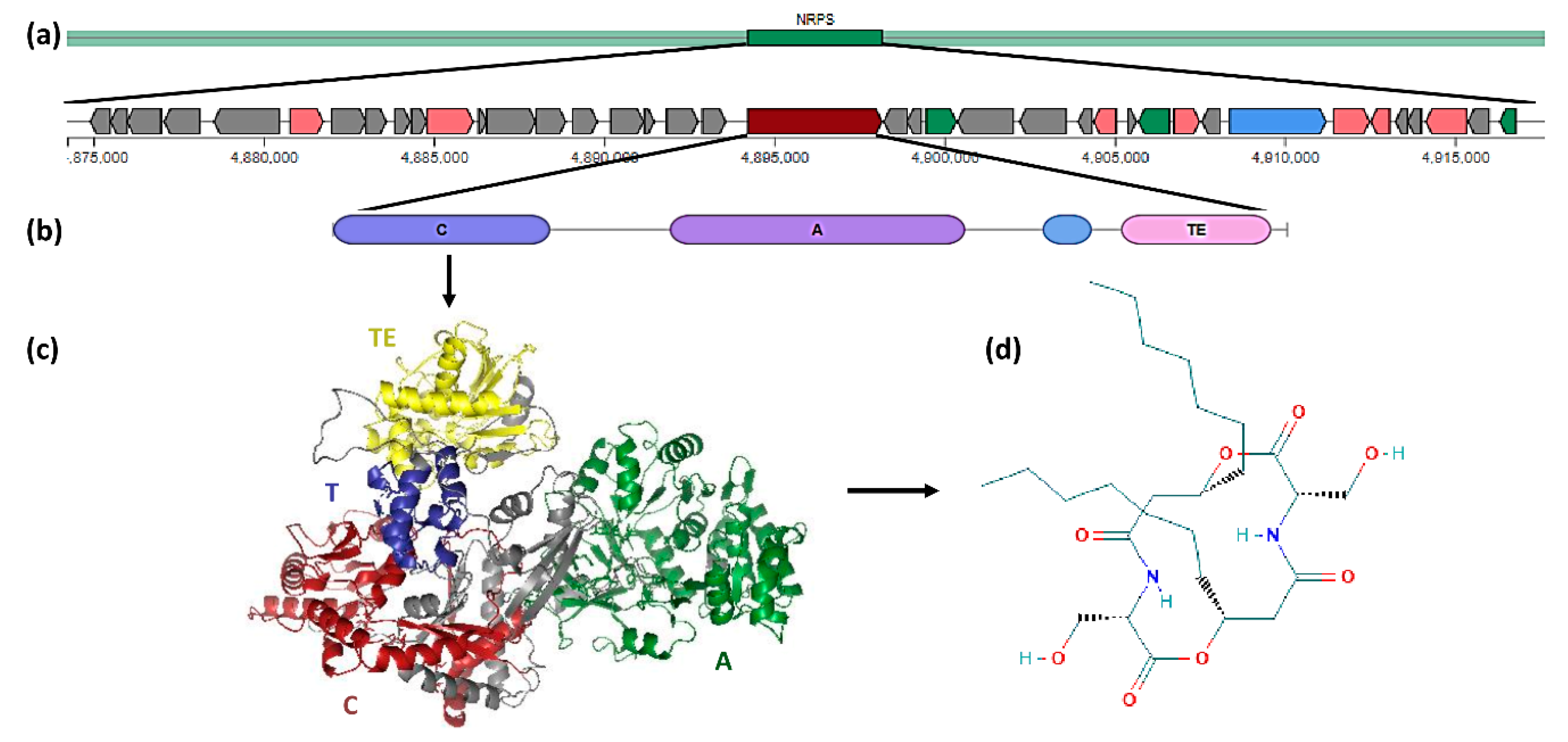 Biology 09 00482 g002 Biology 09 00482 g002