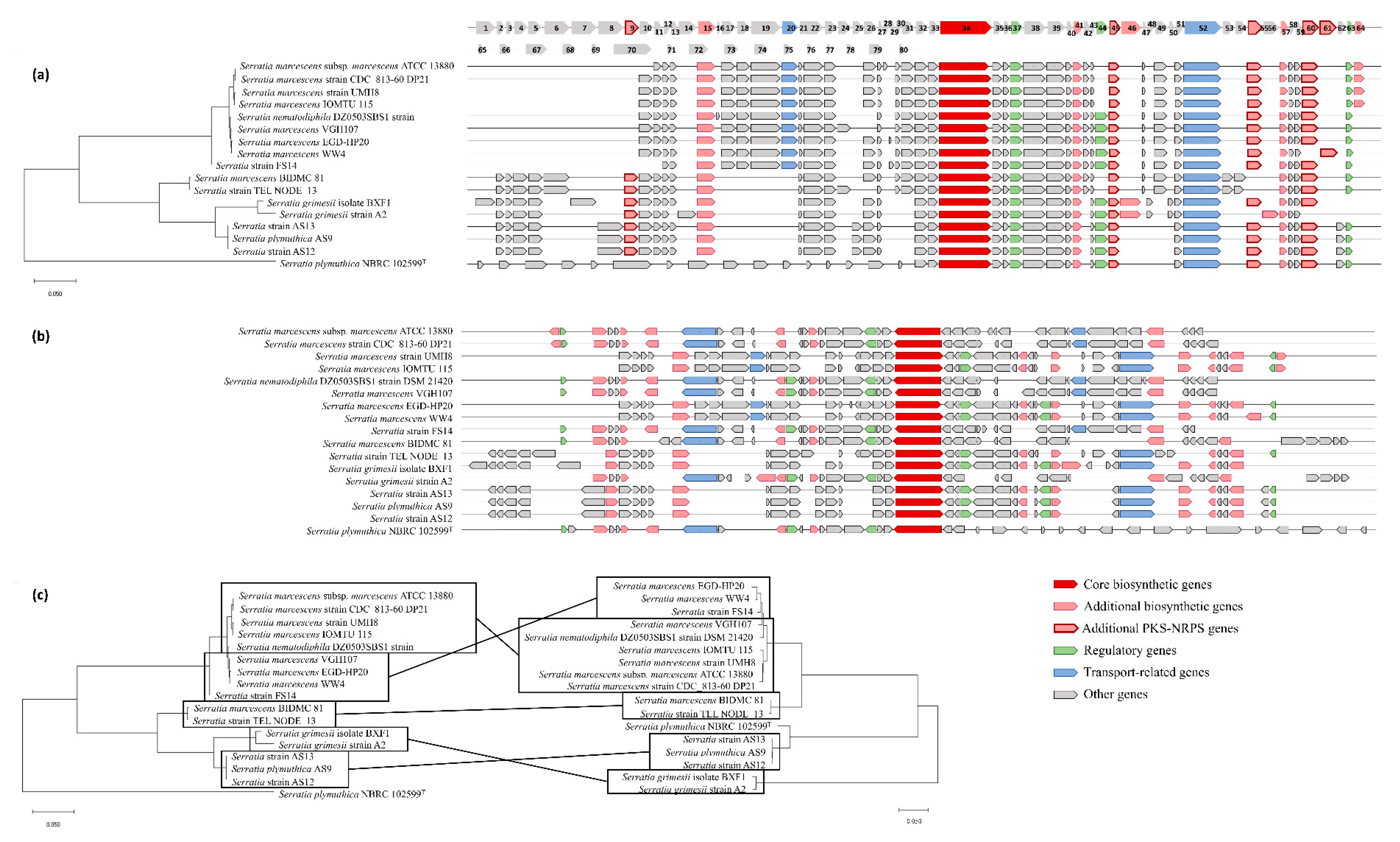 Biology 09 00482 g003 Biology 09 00482 g003
