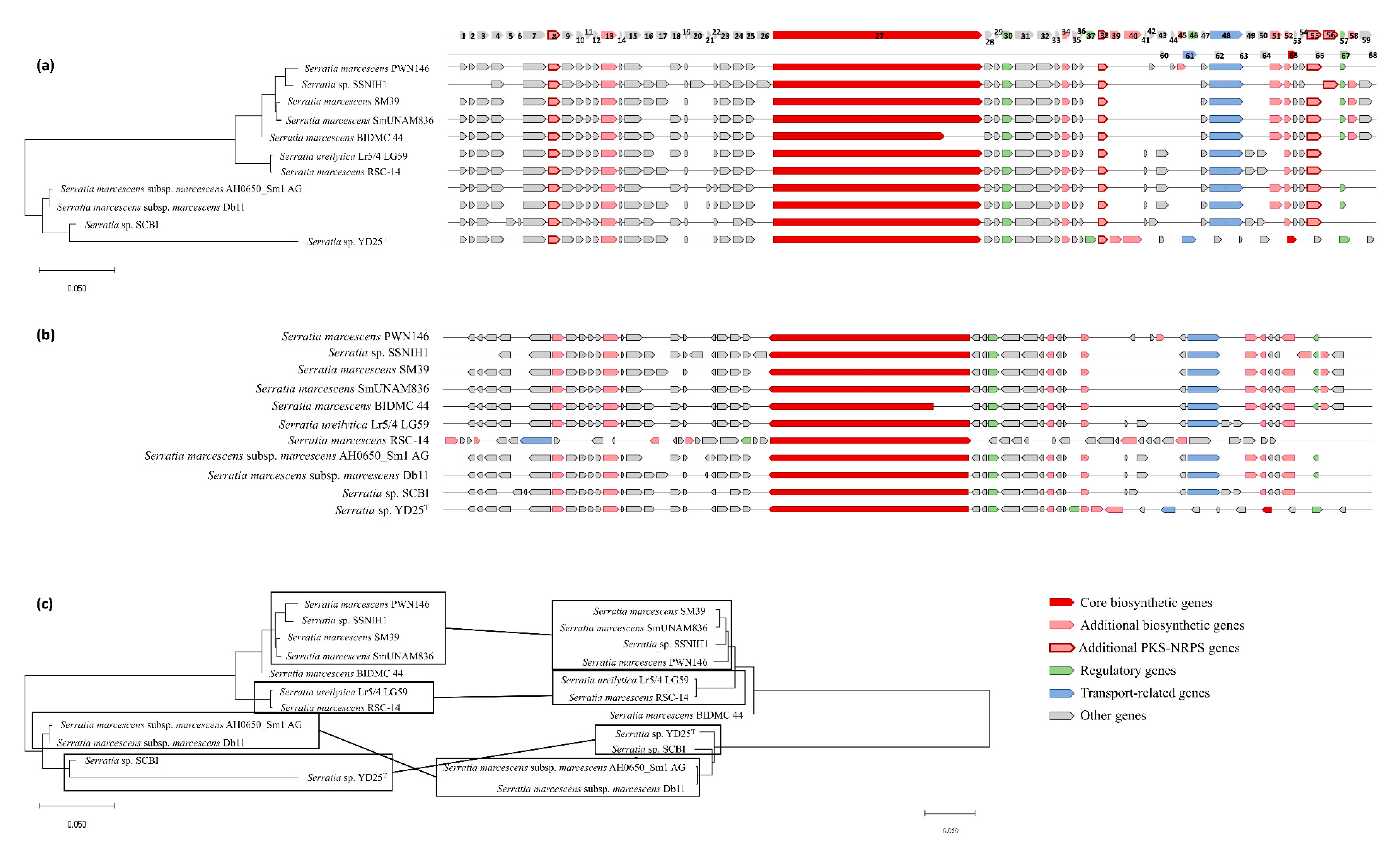 Biology 09 00482 g005 Biology 09 00482 g005