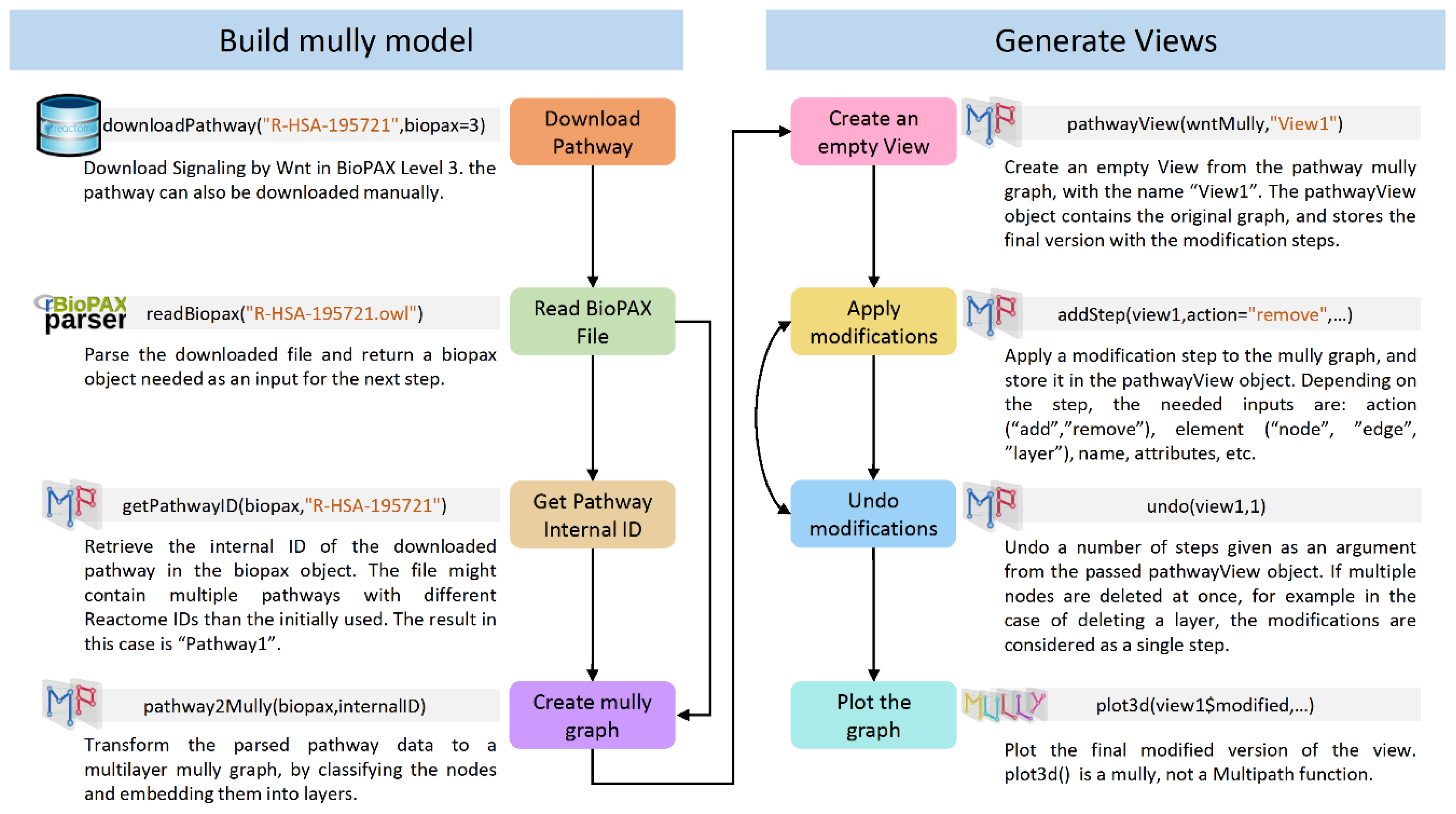 Biology 09 00483 g001 Biology 09 00483 g001