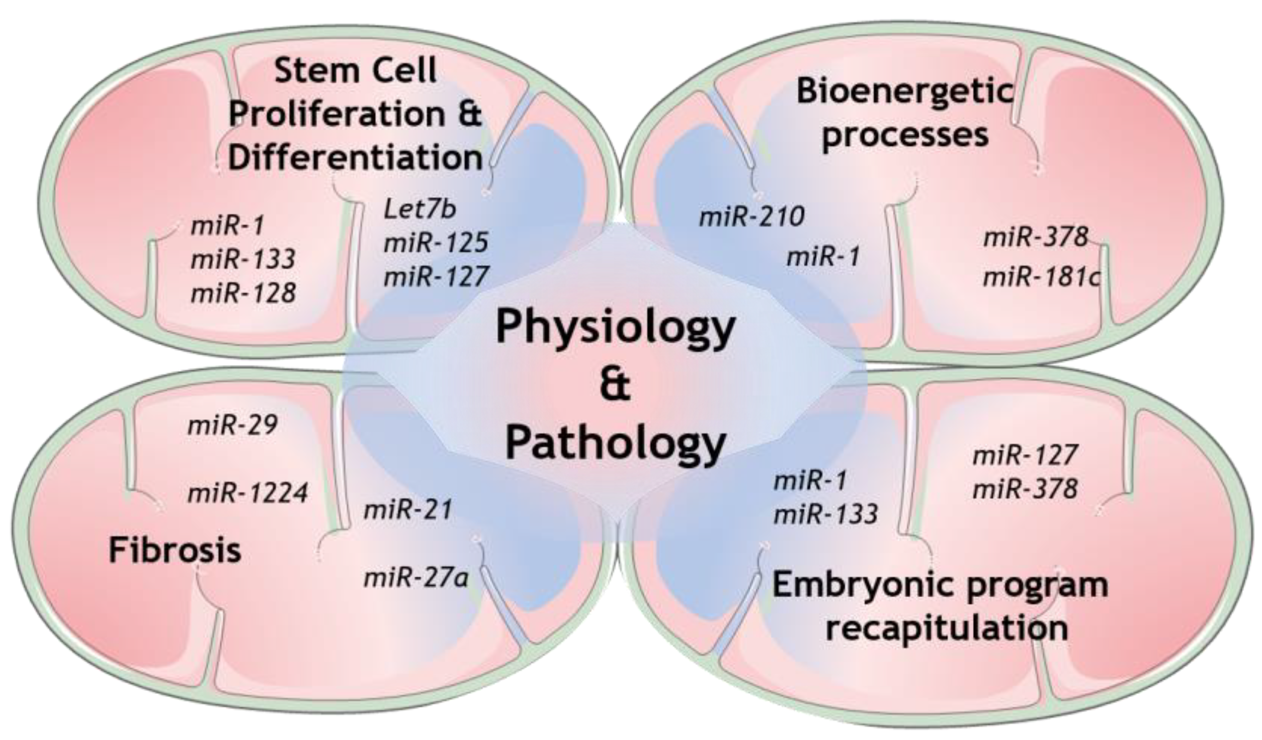 Biology 09 00486 g002