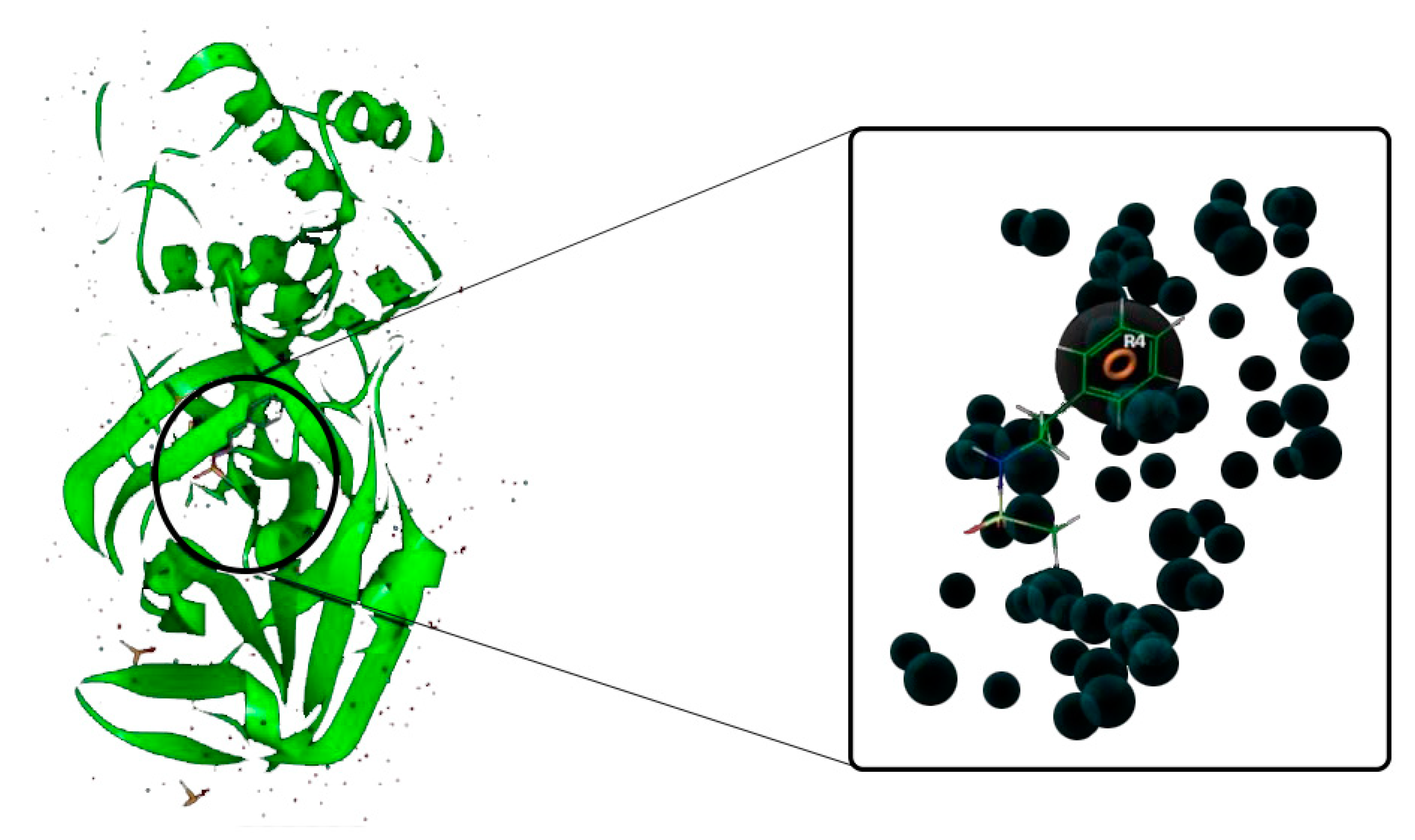 Biology 10 00002 g002 Biology 10 00002 g002