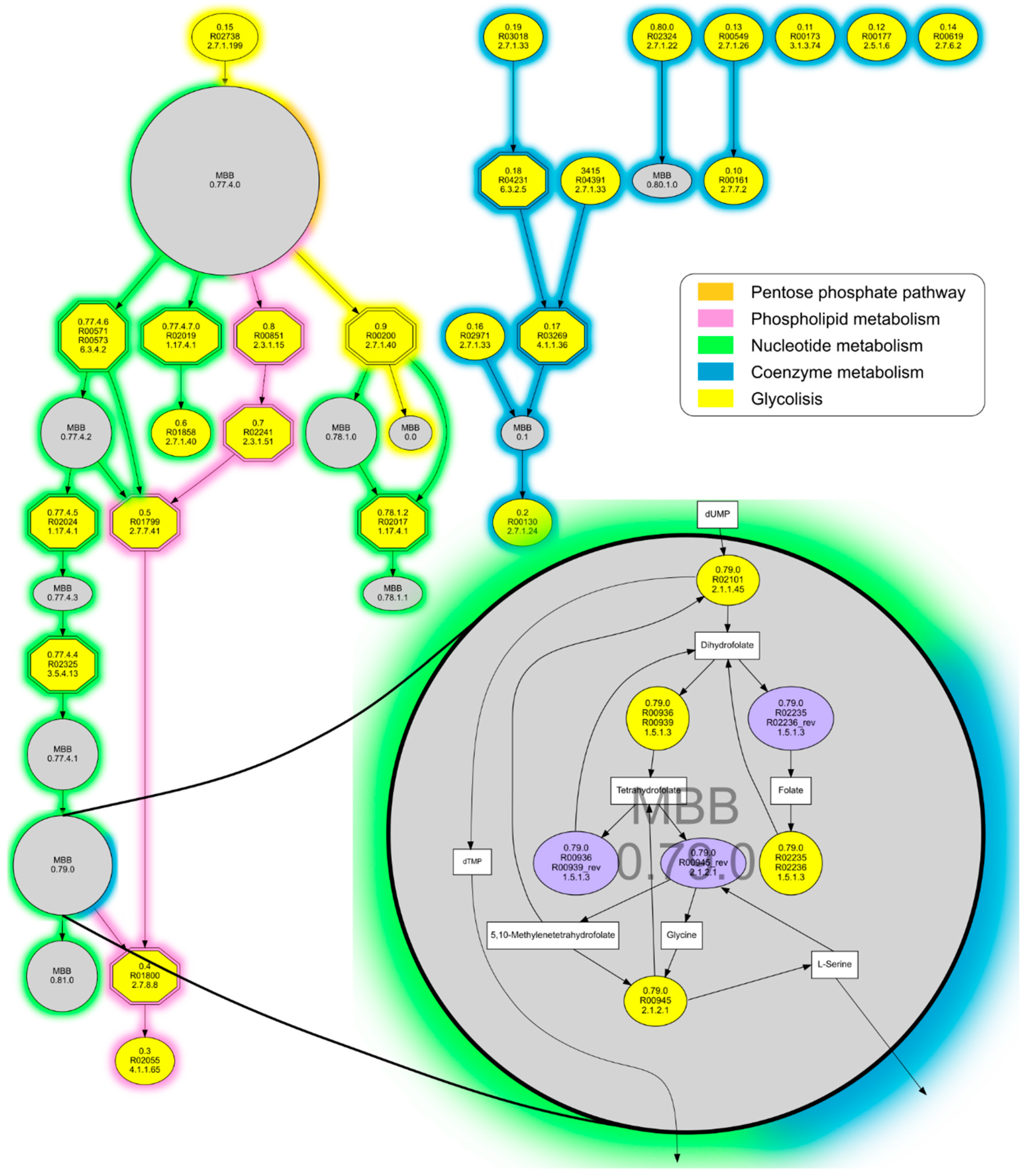 Biology 10 00005 g003 Biology 10 00005 g003
