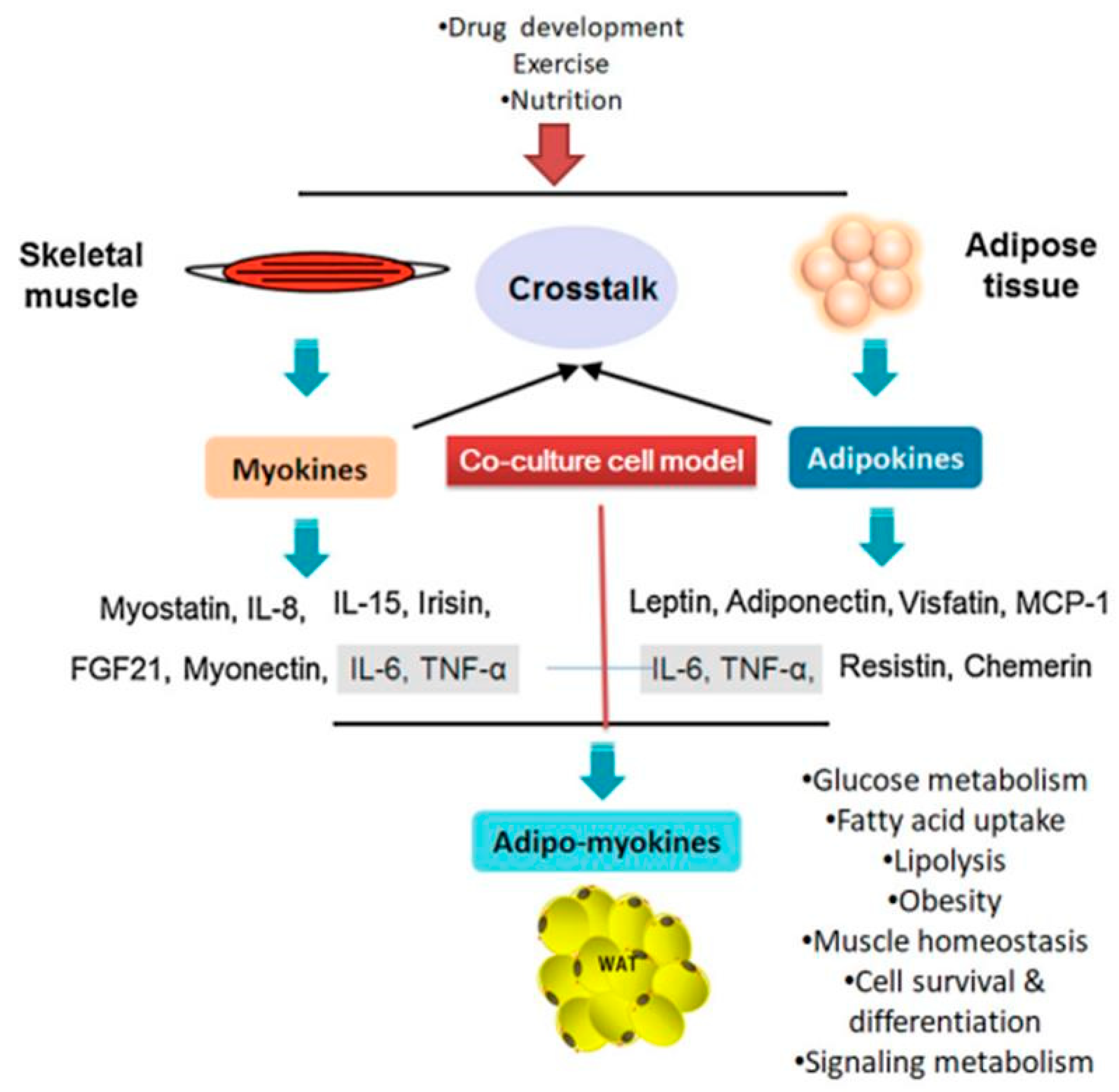 Biology 10 00006 g001 Biology 10 00006 g001