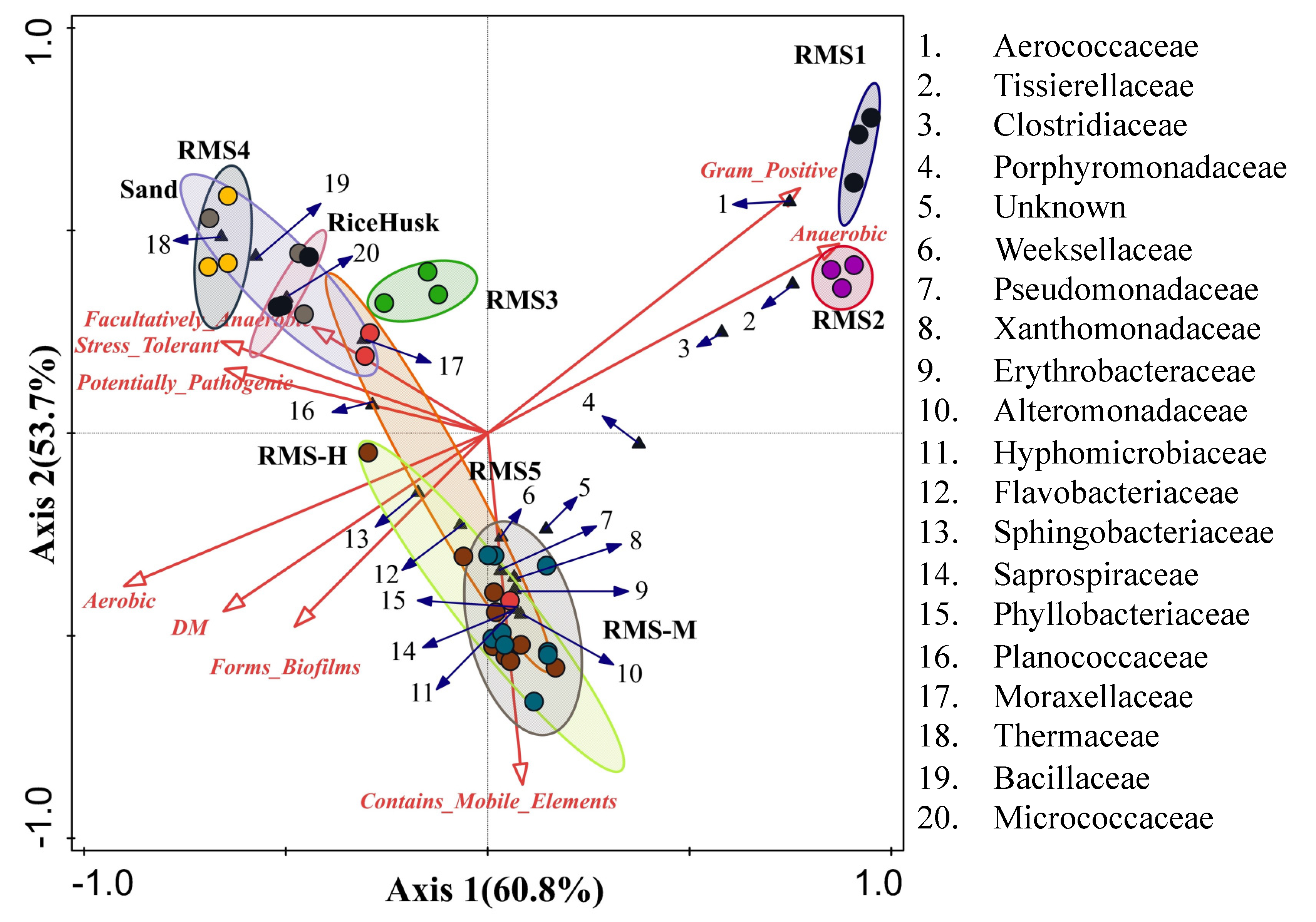 Biology 10 00013 g005 Biology 10 00013 g005