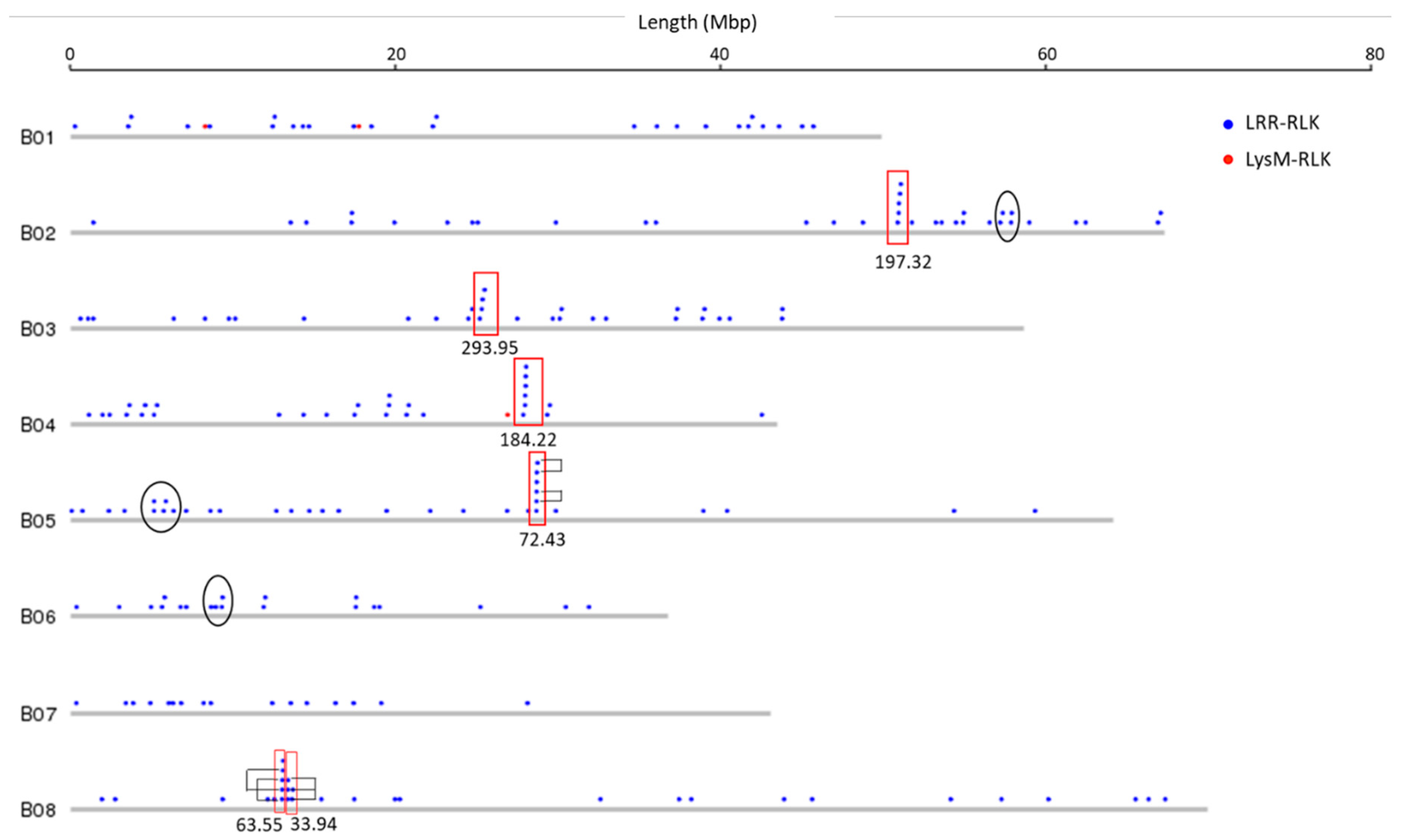 Biology 10 00017 g002 Biology 10 00017 g002