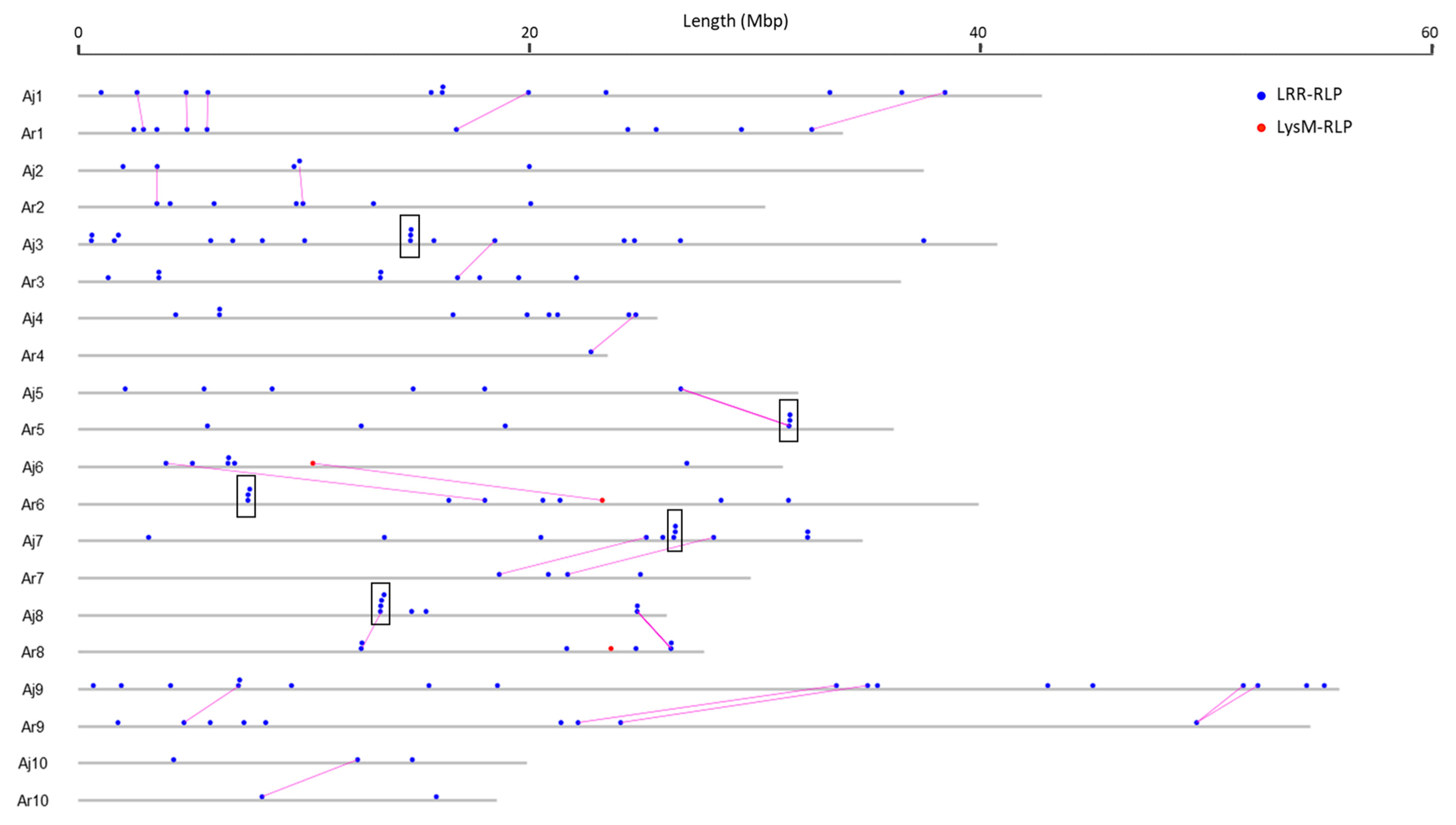 Biology 10 00017 g008 Biology 10 00017 g008