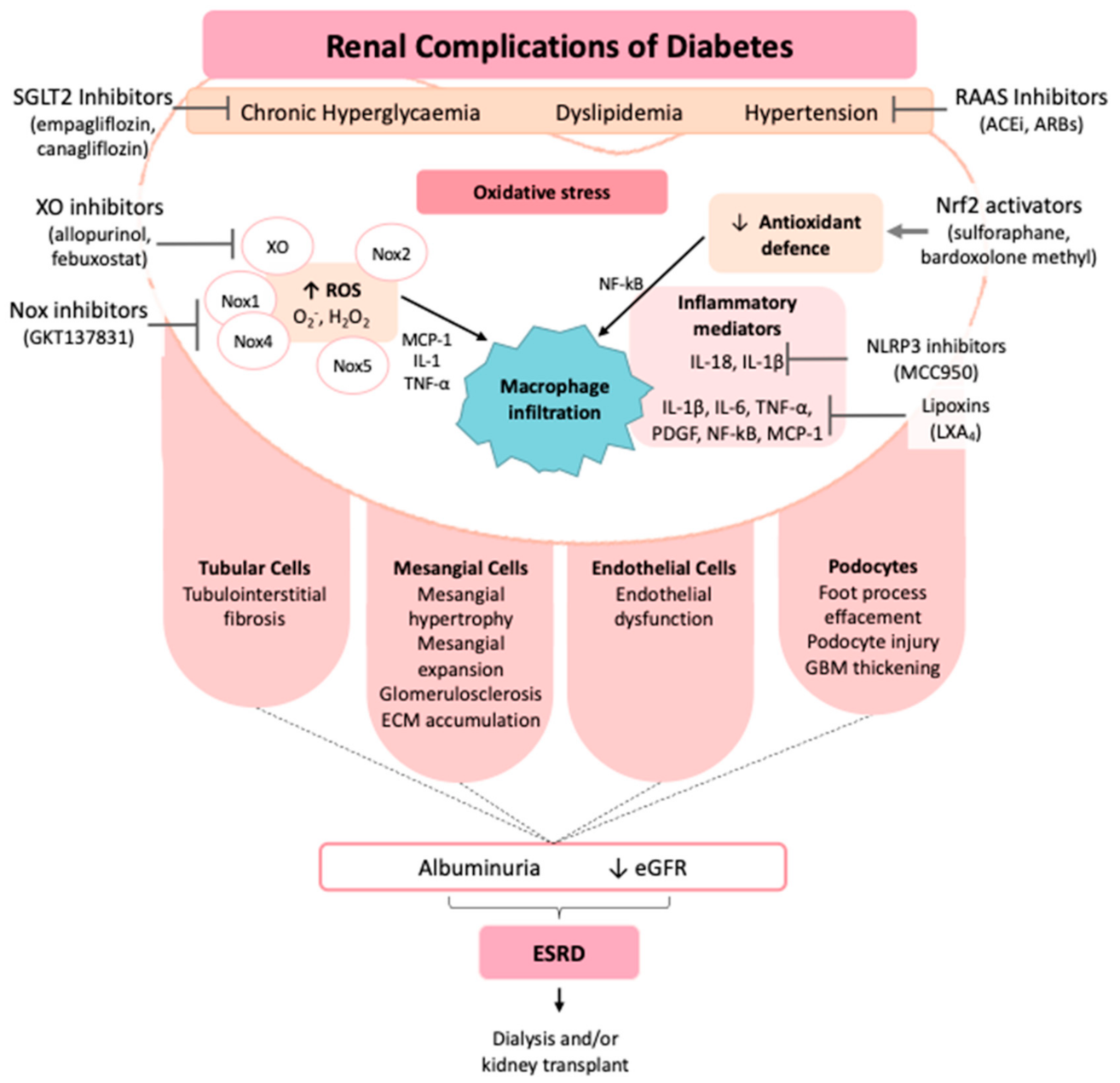 Biology 10 00018 g001 Biology 10 00018 g001