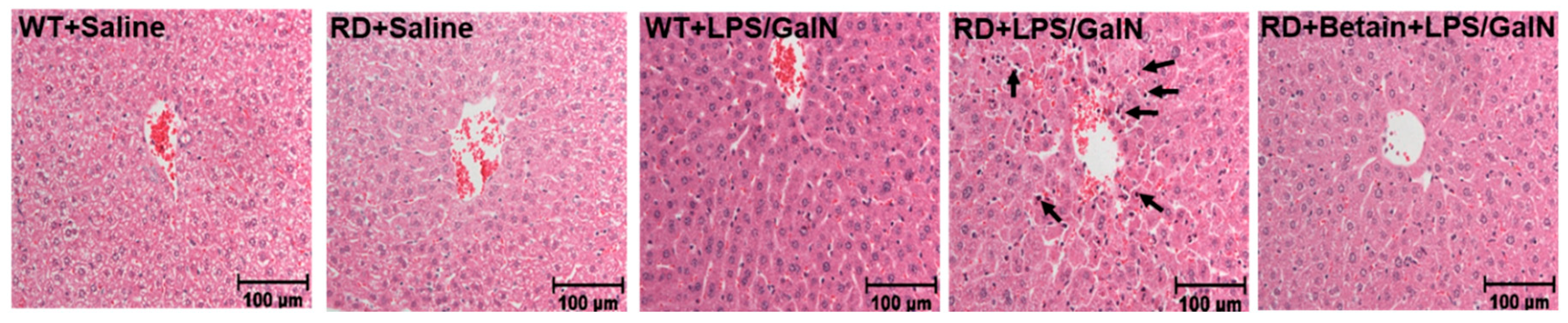 Biology 10 00019 g001 Biology 10 00019 g001