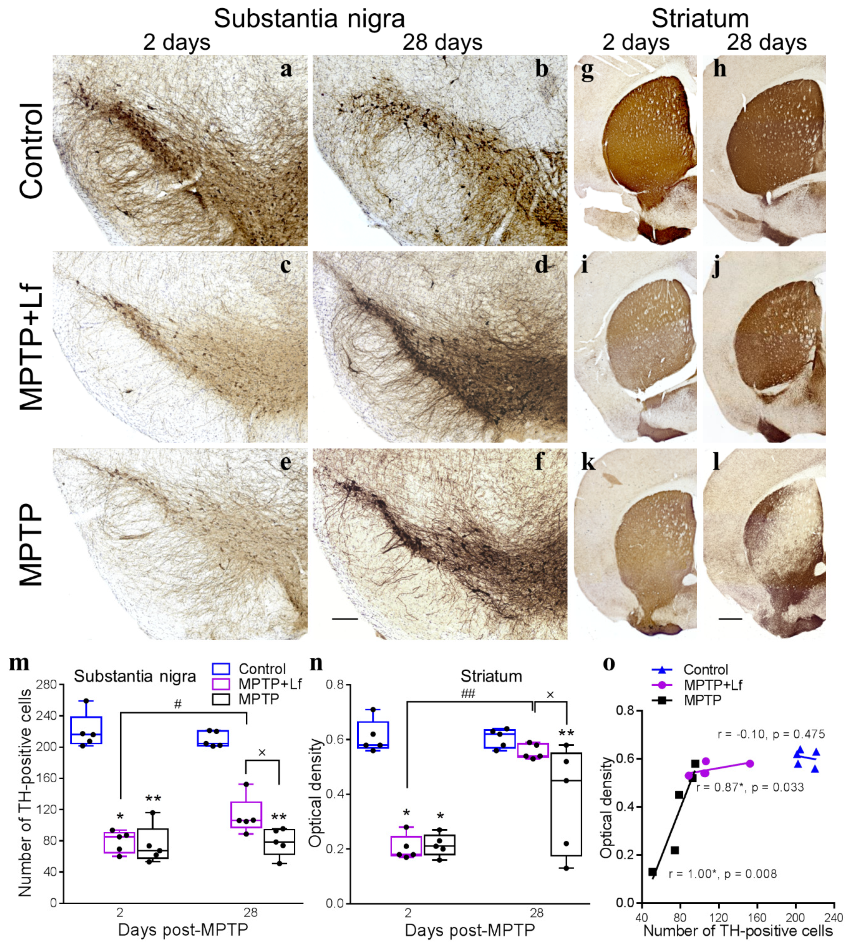 Biology 10 00024 g006