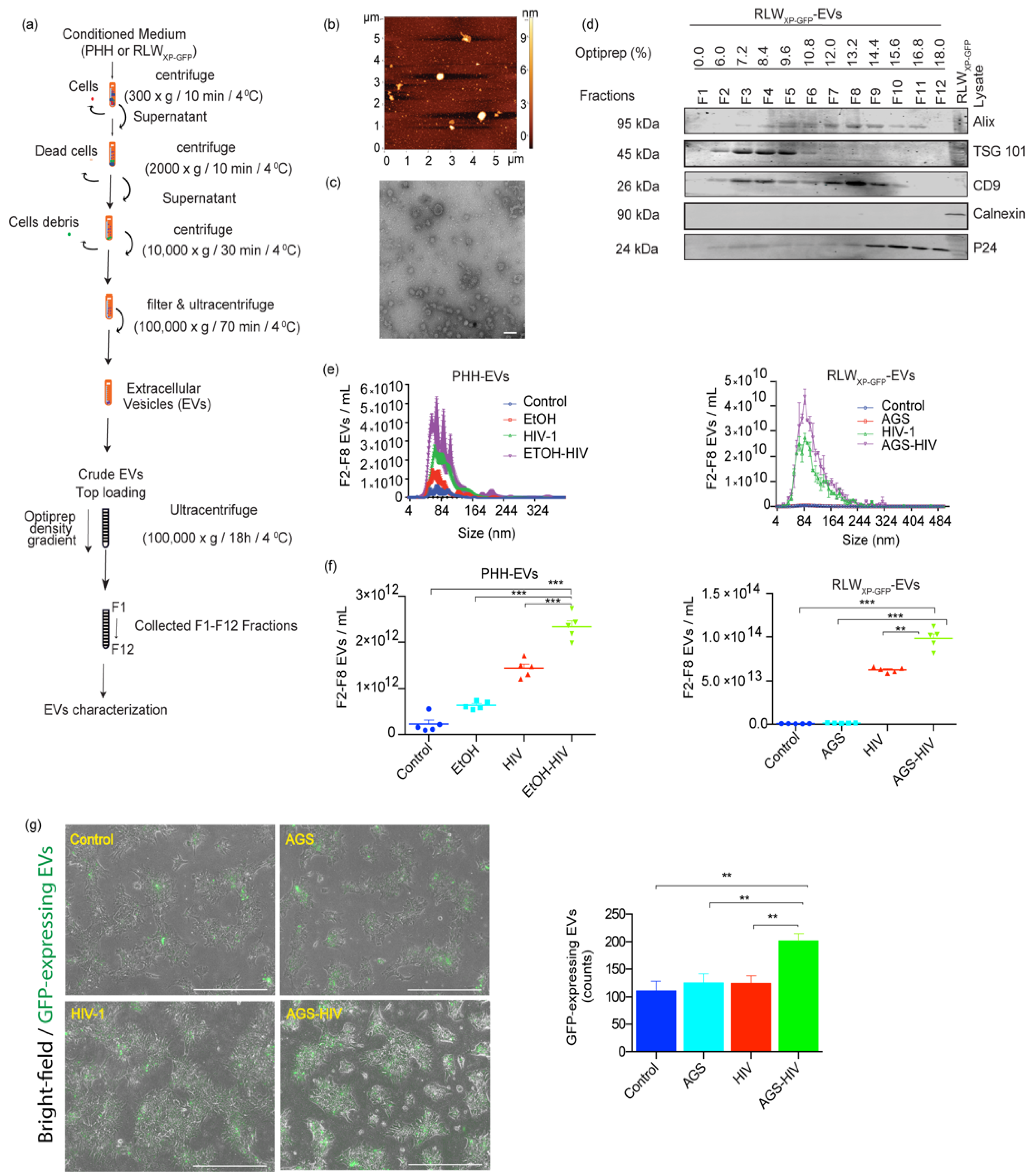 Biology 10 00029 g001