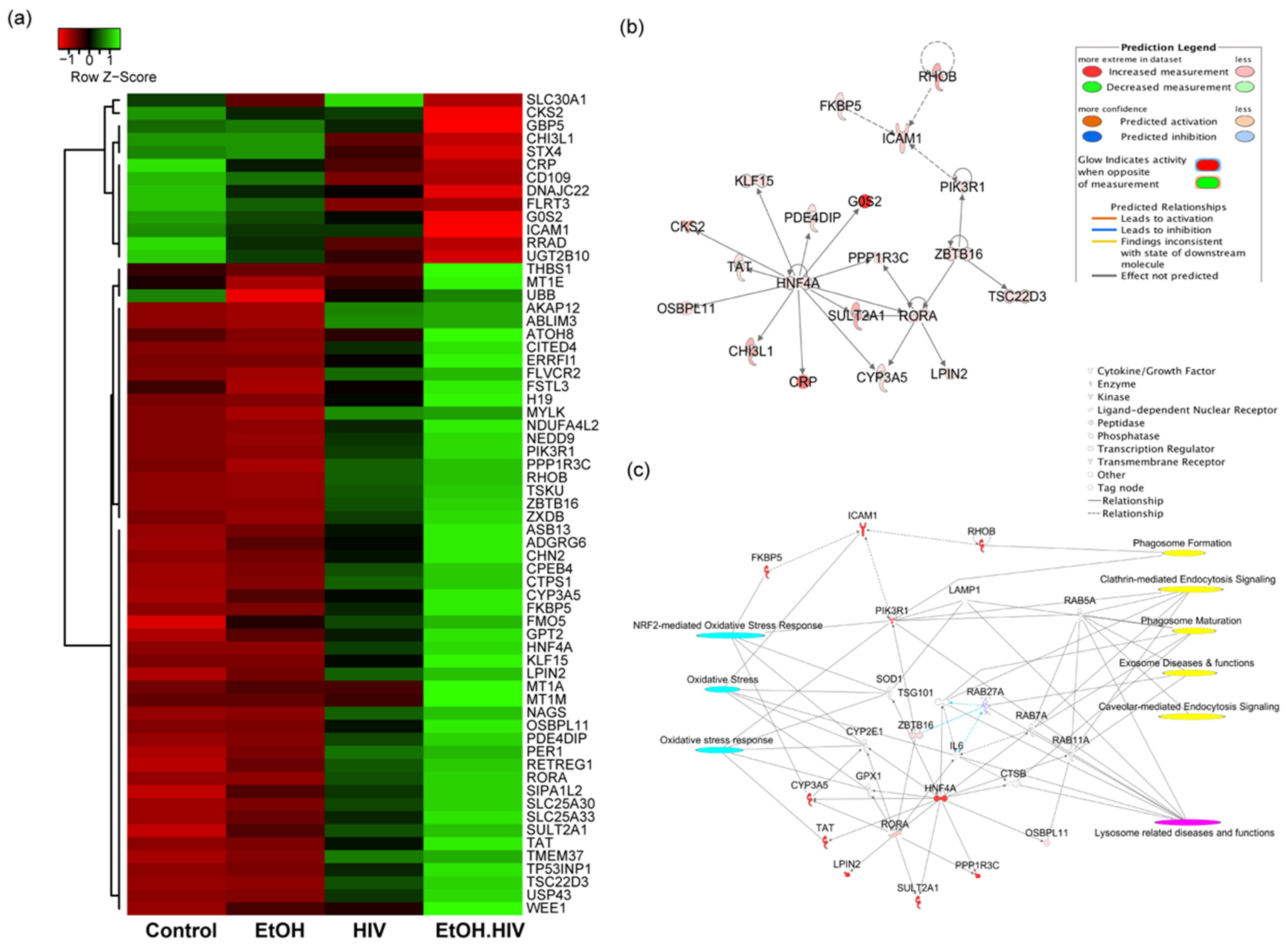 Biology 10 00029 g003