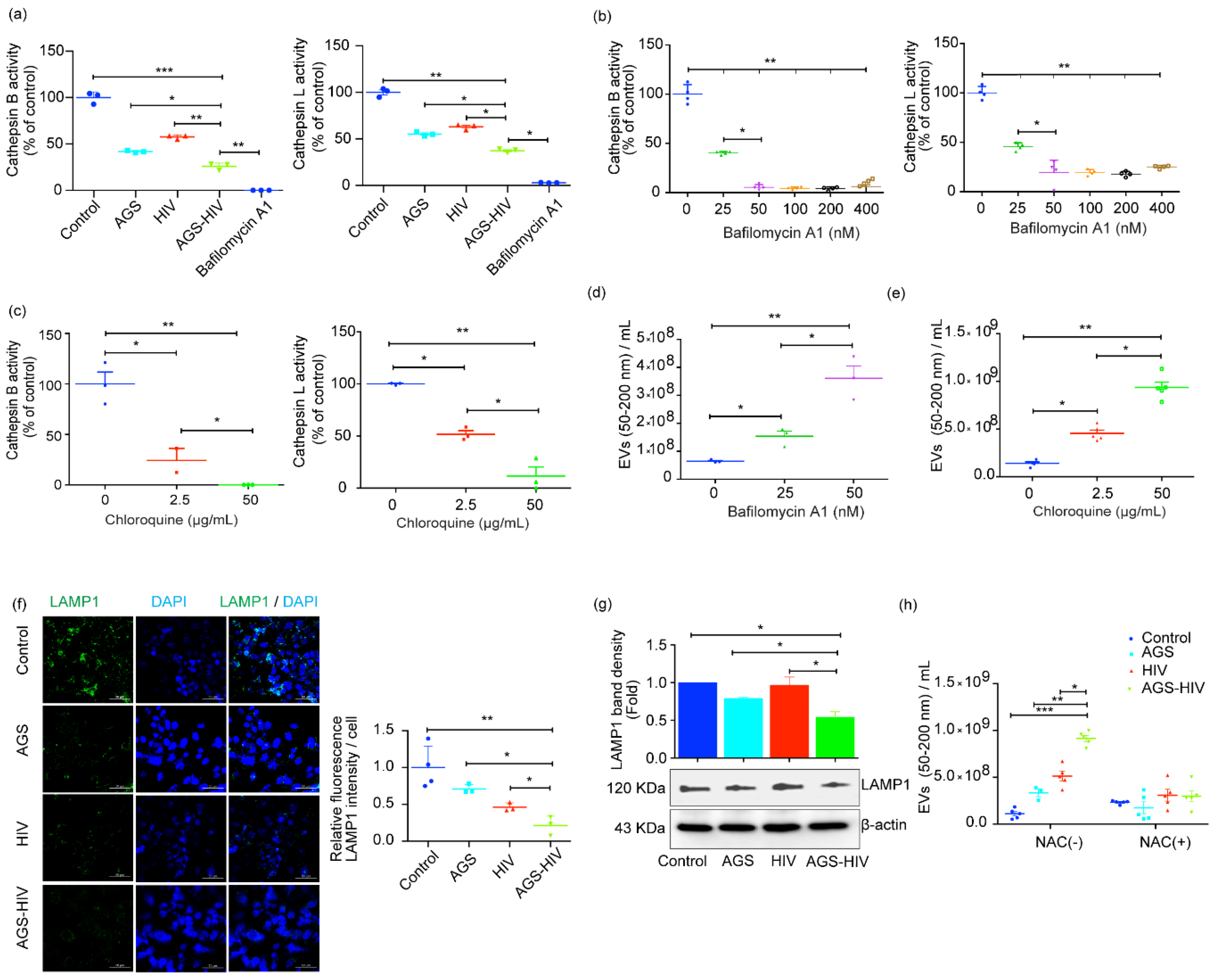 Biology 10 00029 g004