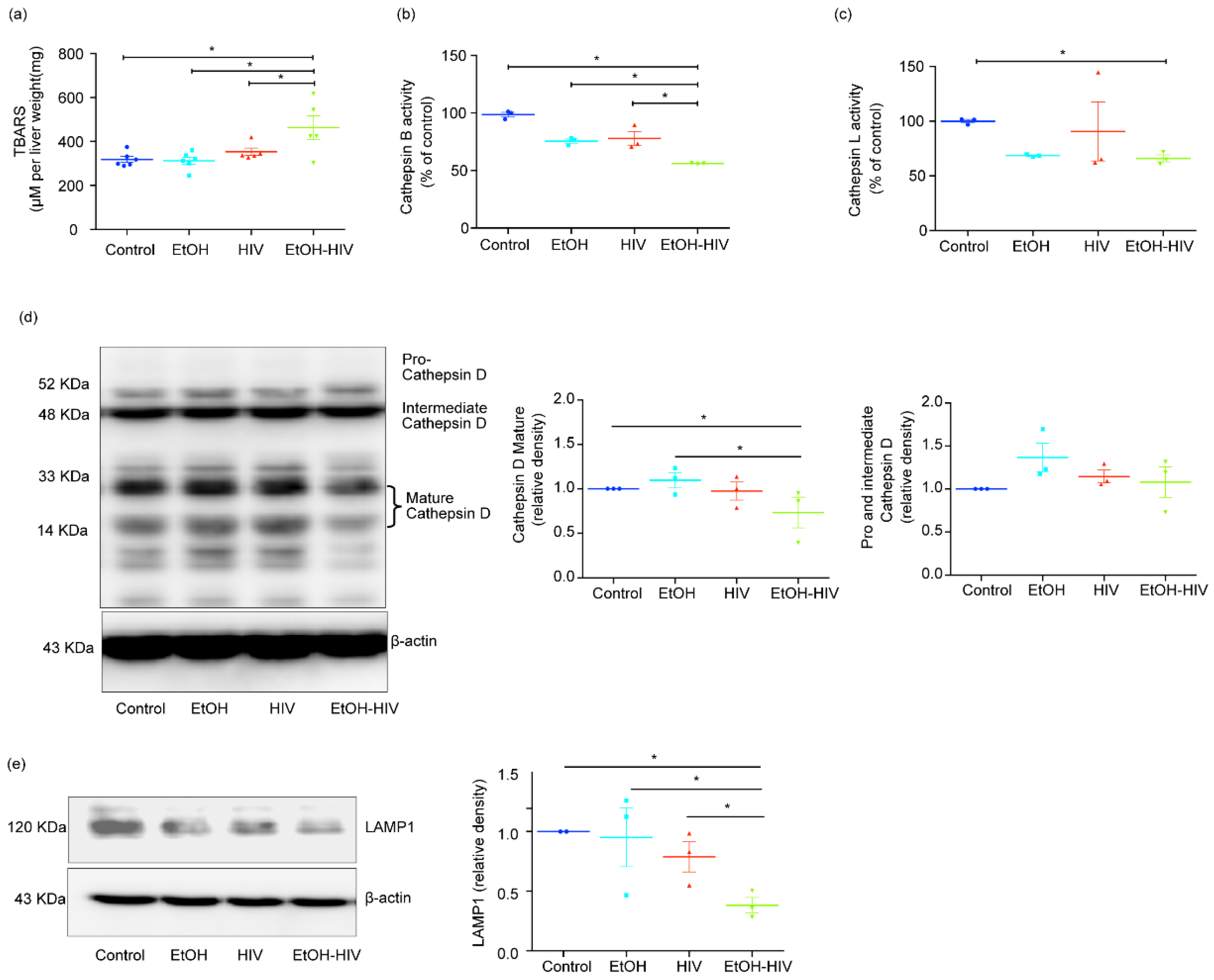 Biology 10 00029 g005