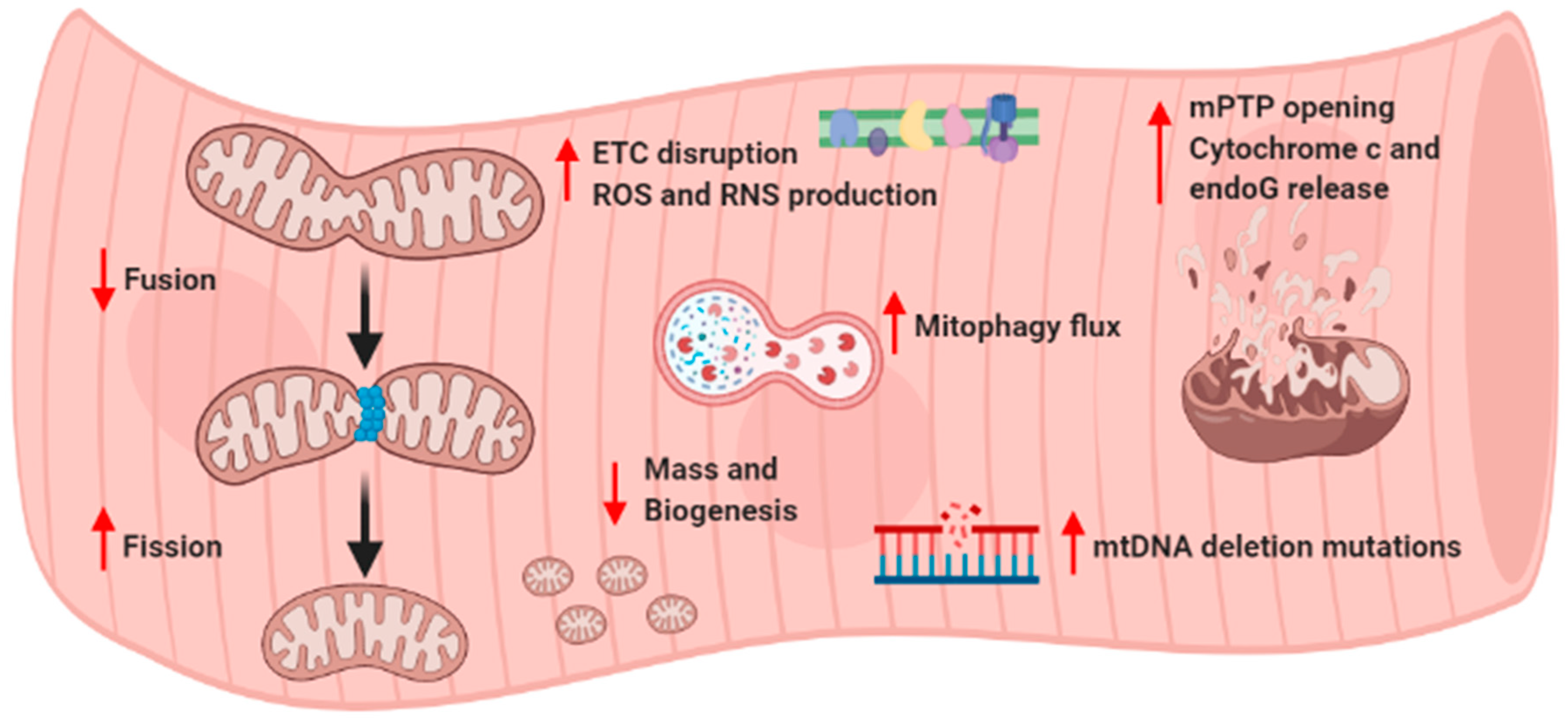 Biology 10 00031 g003