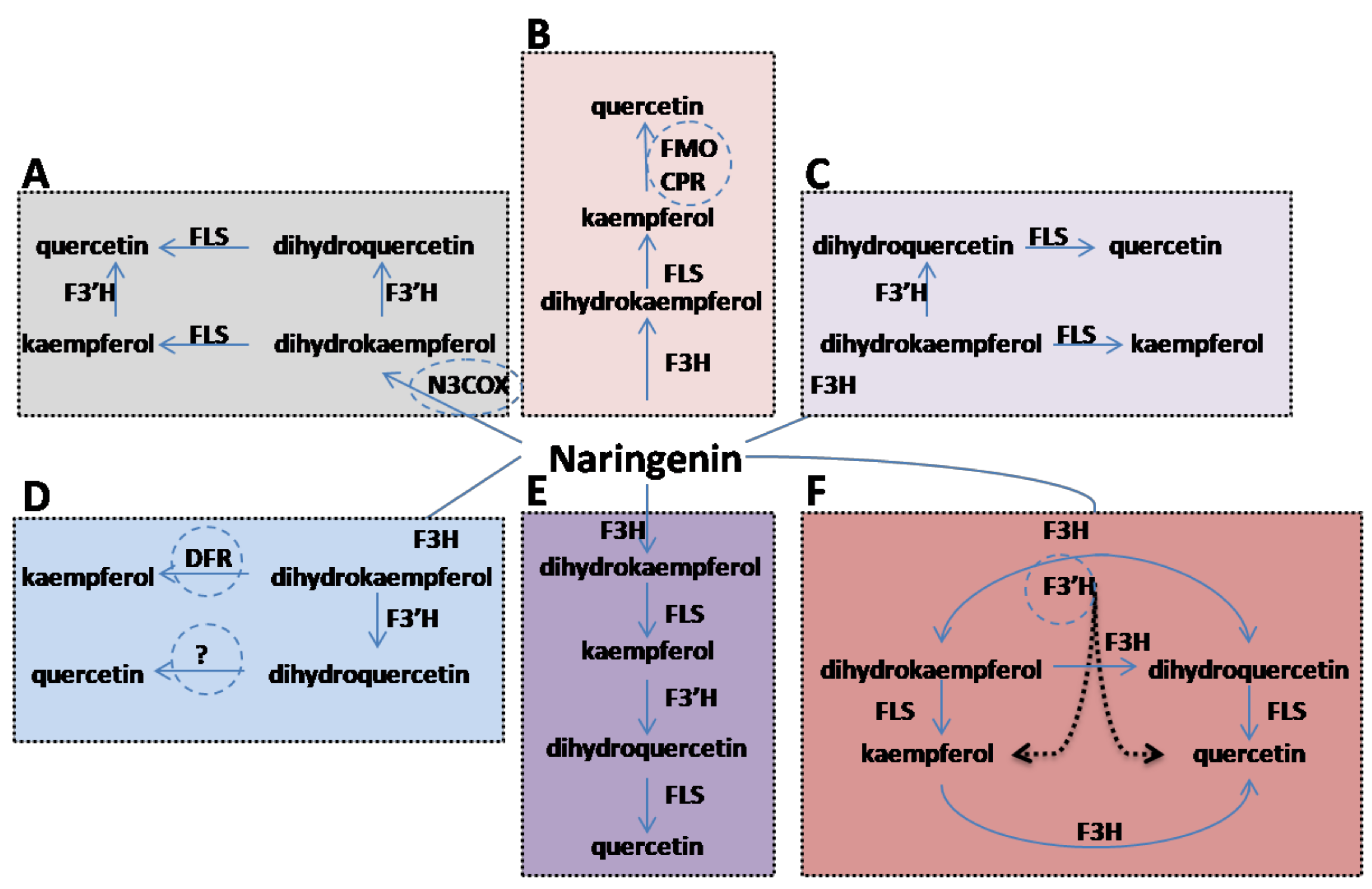 Biology 10 00032 g001 Biology 10 00032 g001