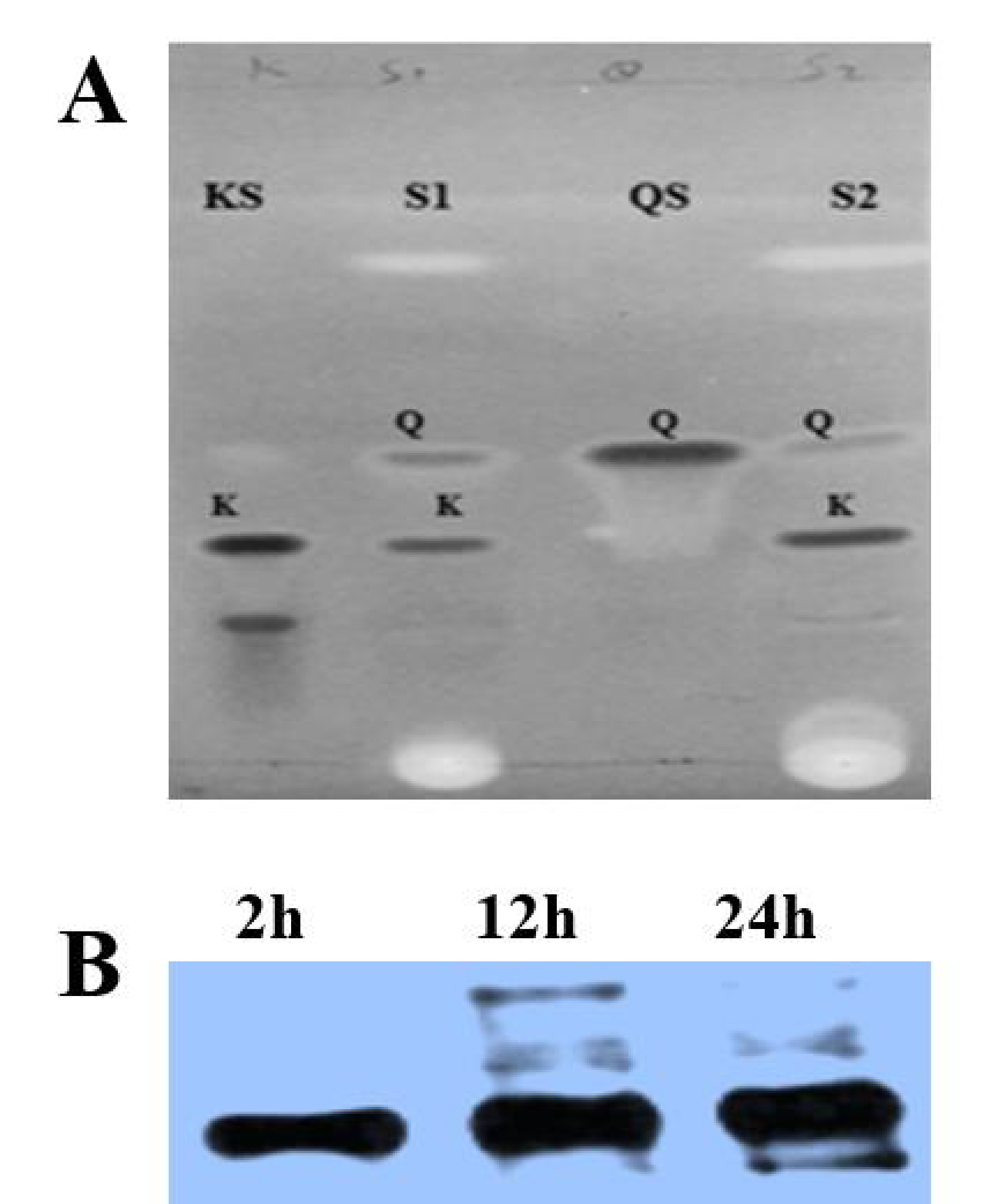 Biology 10 00032 g002 Biology 10 00032 g002