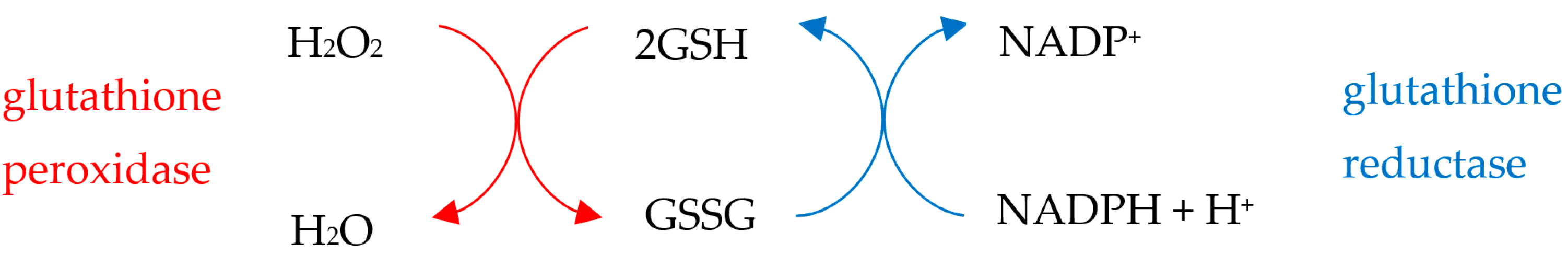 Biology 10 00033 i002 Biology 10 00033 i002
