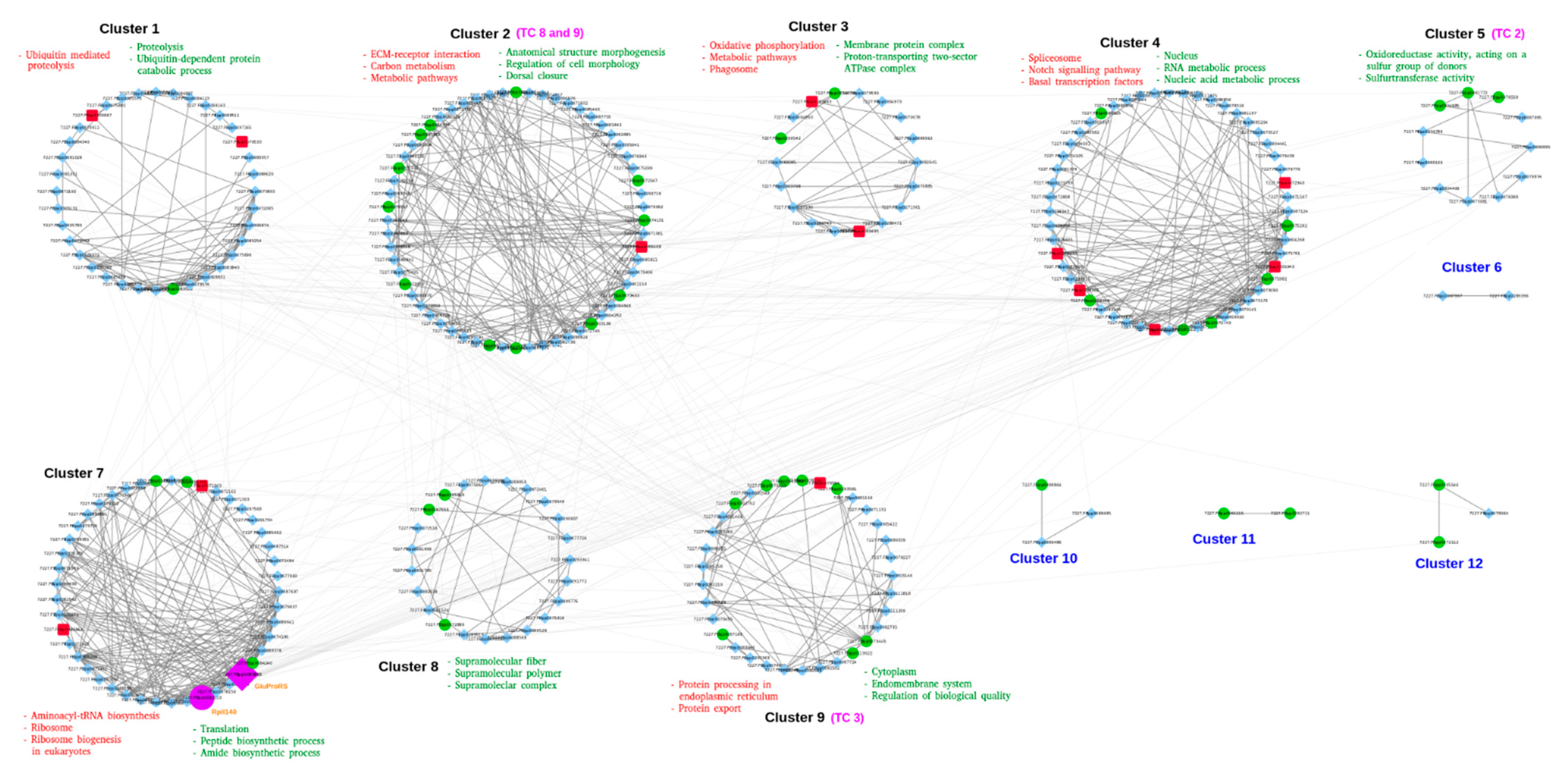 Biology 10 00039 g005 Biology 10 00039 g005