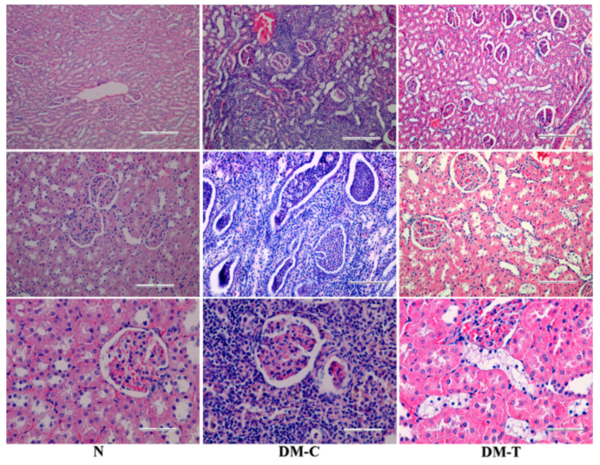 Biology 10 00043 g005 Biology 10 00043 g005