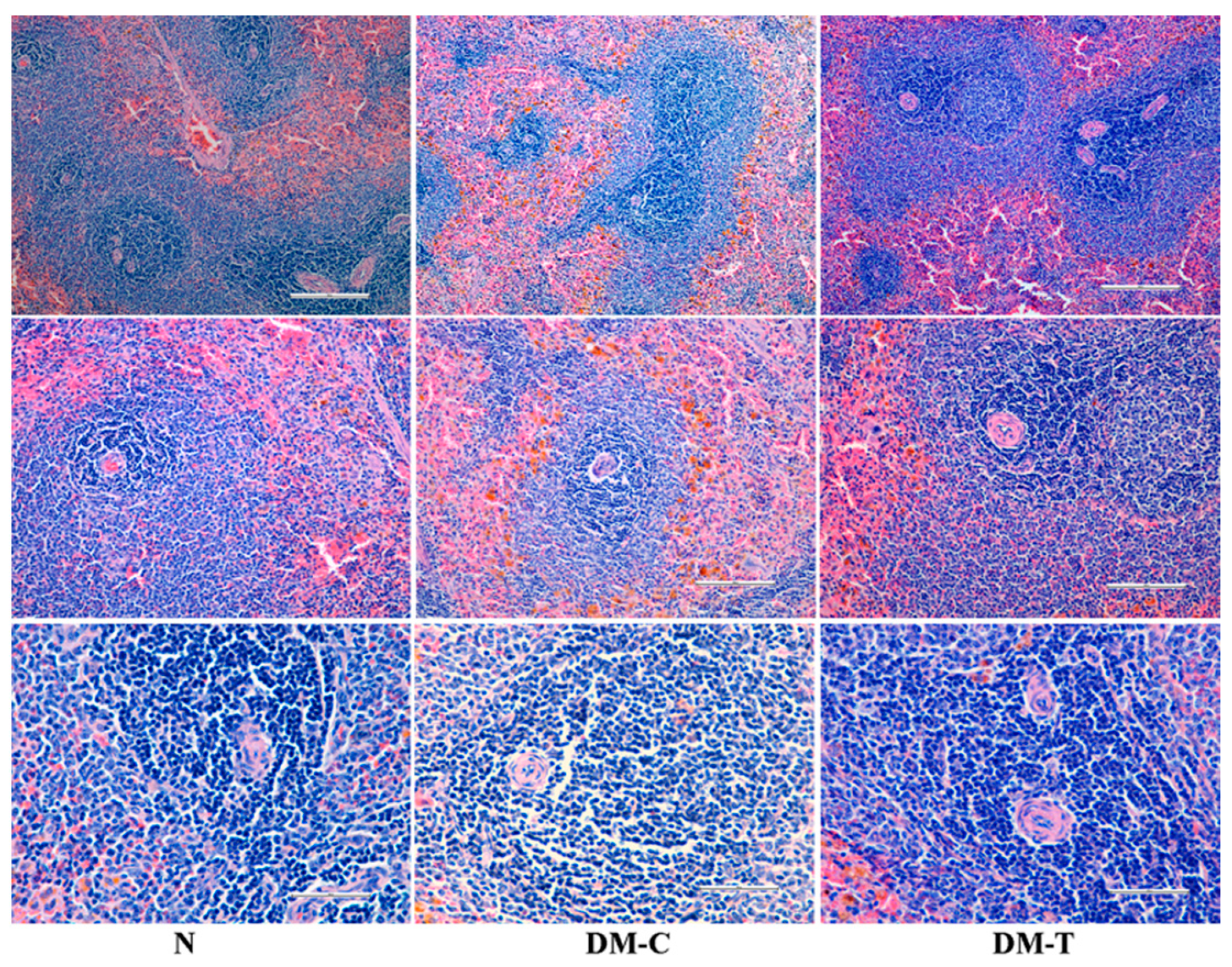 Biology 10 00043 g006 Biology 10 00043 g006