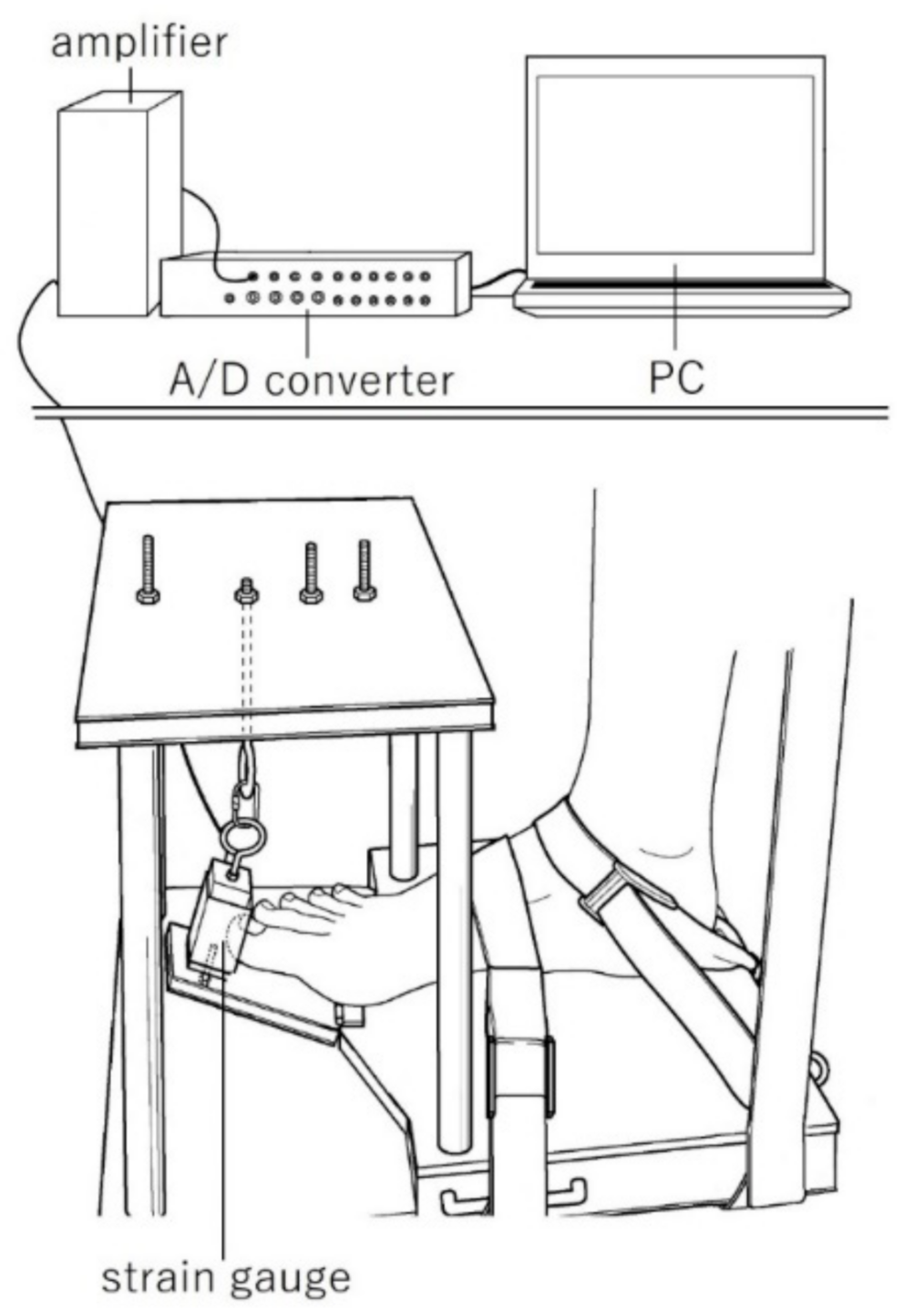 Biology 10 00048 g001